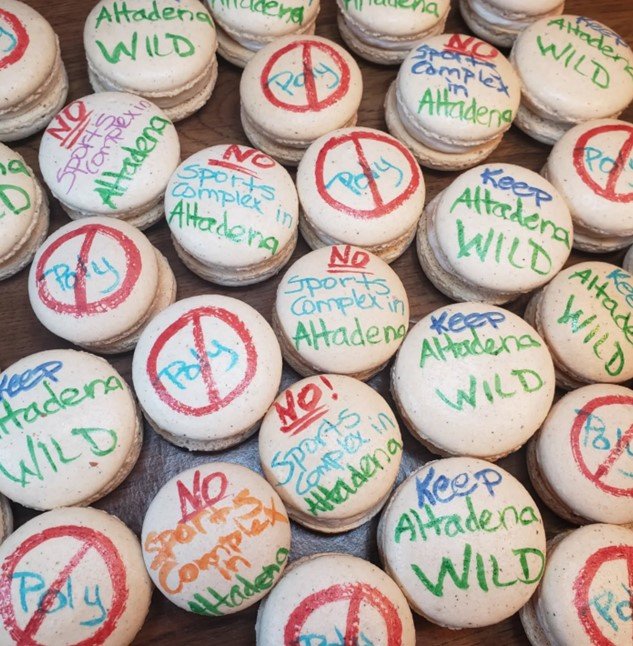 protest macs - altadena wild.jpg