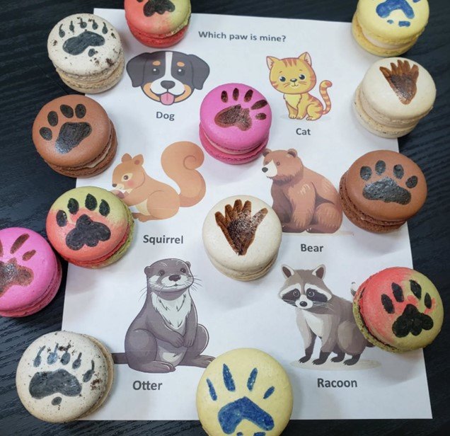 which paw is mine macs.jpg