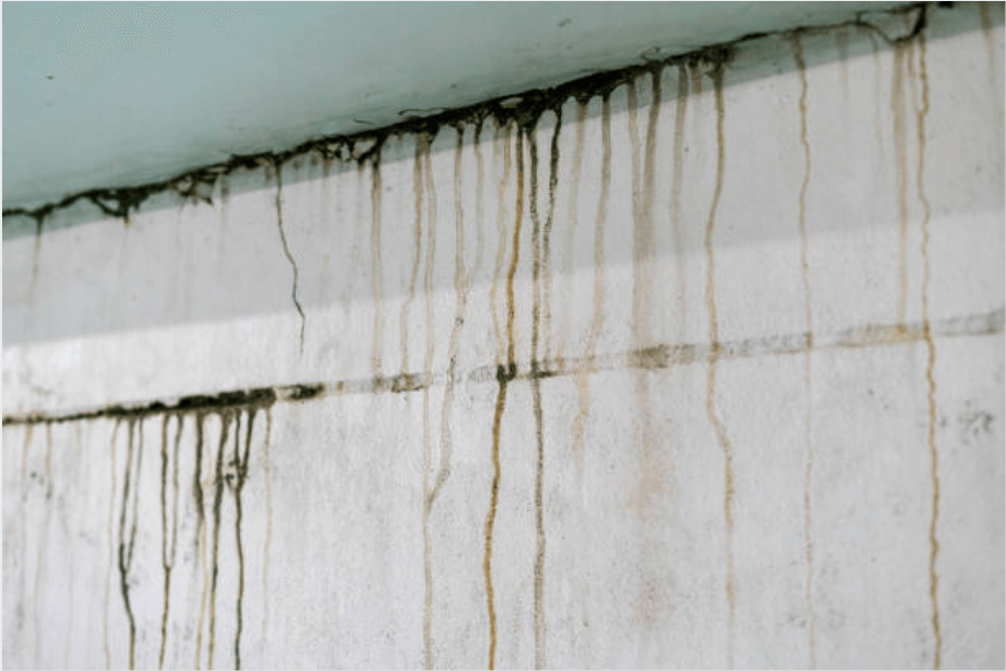 close-up of a wall with water leak stains