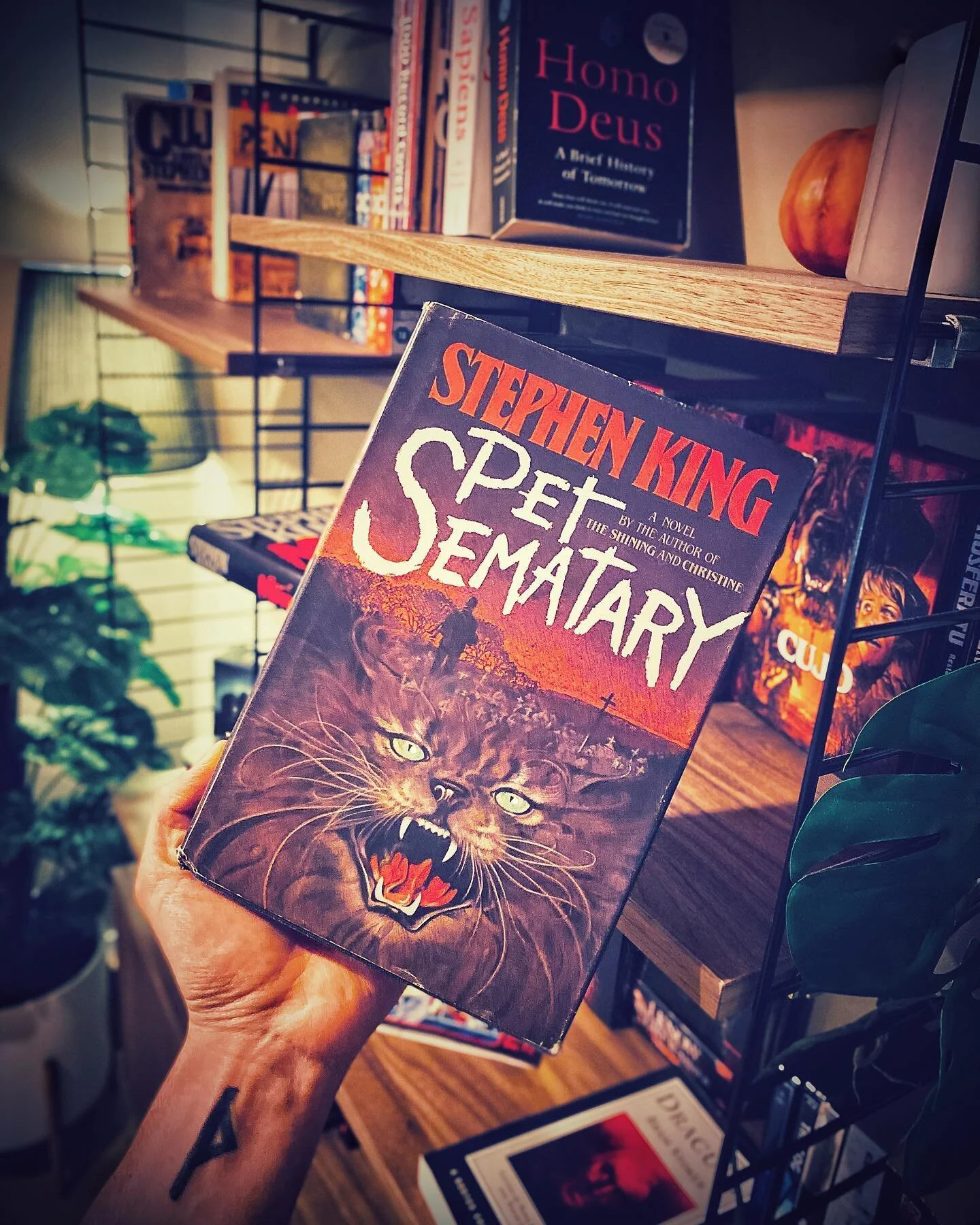 How many horror books are in this pic? 🤪 Vintage 1983 first print Pet Sematary 🖤😾
.
.
.
#petsematary #scream6 #screamvi #horrormovies #horrormoviefan #horrorfan #horroraddict #horrorjunkie #horrorlover #horrornerd #horrorgeek #horrorcommunity #hor