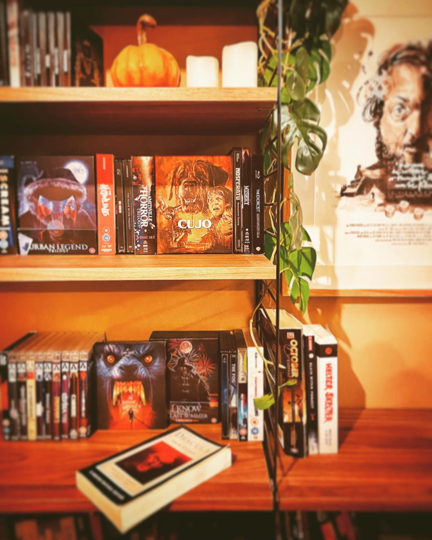 #happyplace 🎃
.
.
.

#urbanlegend #cujo #dracula # Stephen King #everydayishalloween #horrormerch #freddykrueger #halloween #halloweencountdown #horroraddict #horrorcollector #horrorfan #horrorfilms #horrorgeek #horrorgram #horrorjunkie #horrorlifes