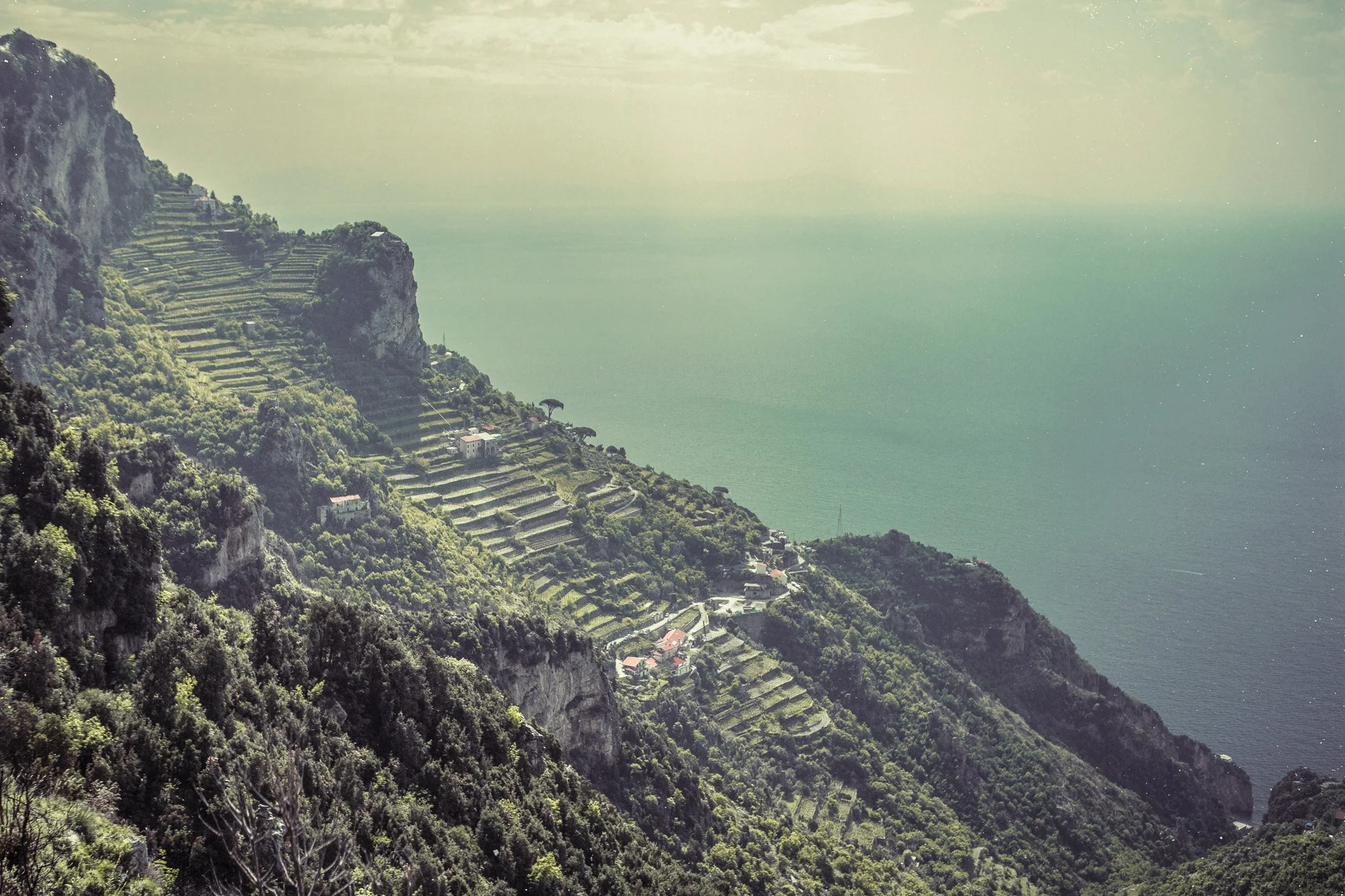  Terrace farm, Italy 