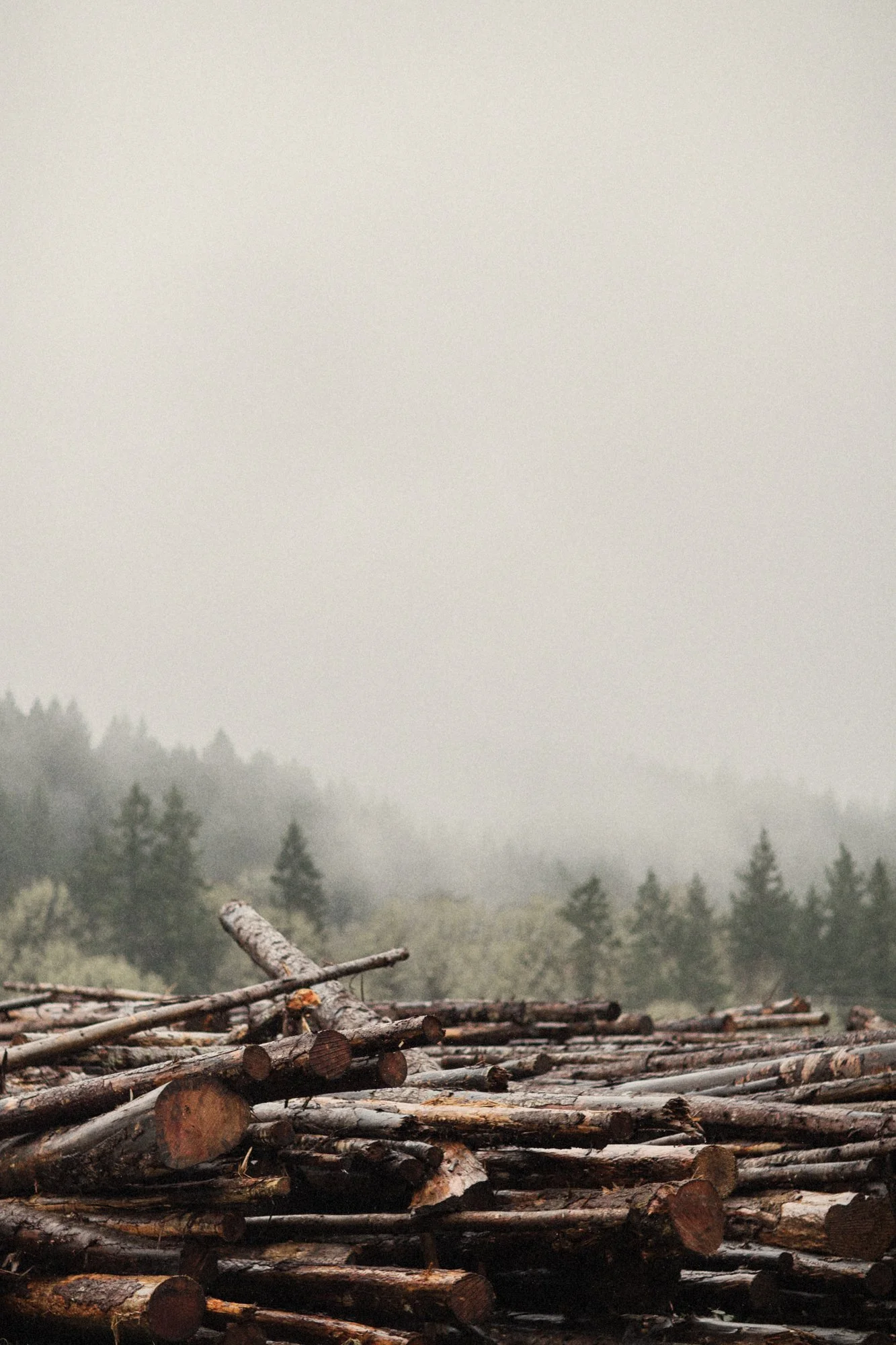  Timber, Oregon 