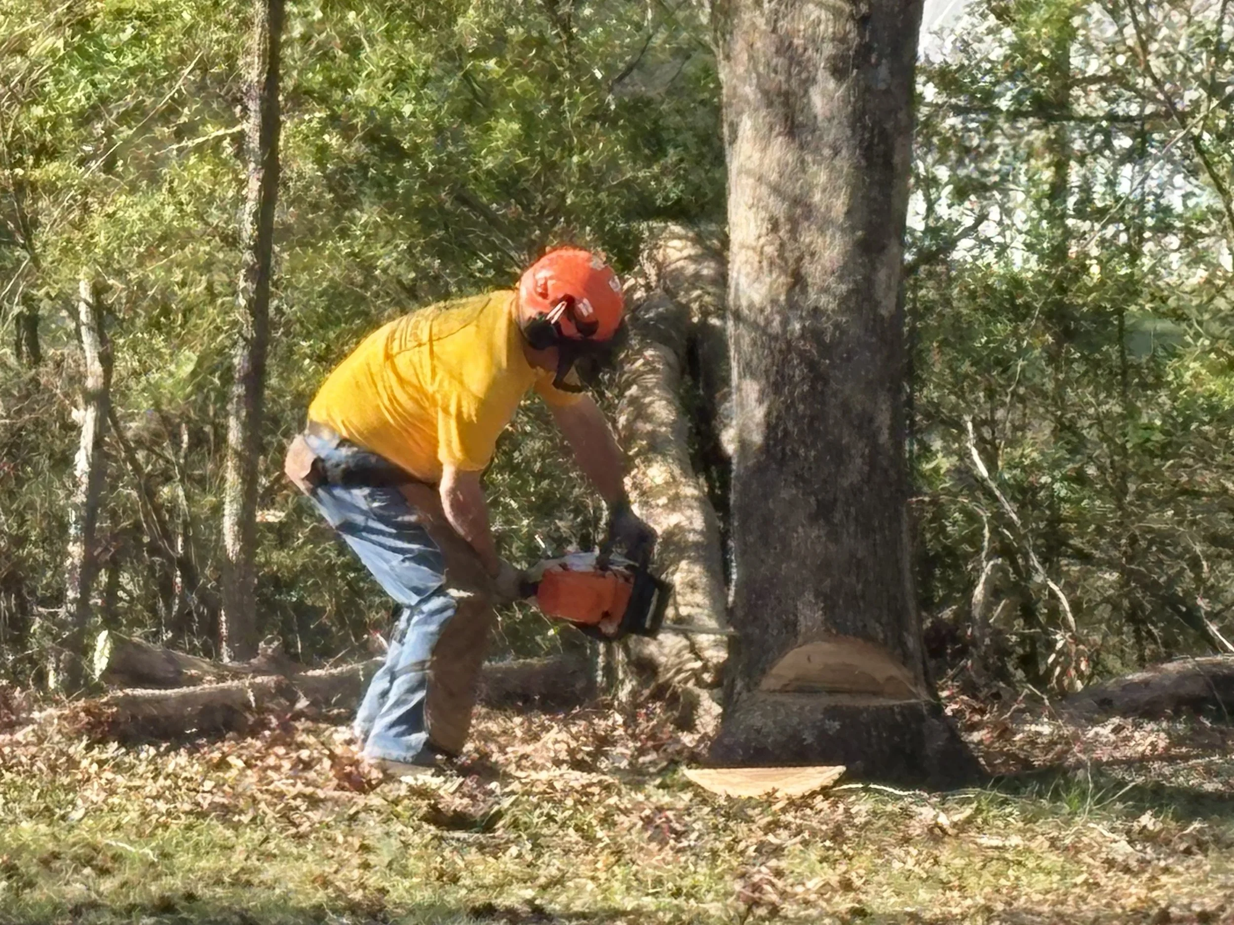 MBA DR 21Mar2026 @Cave Spring 9.jpeg