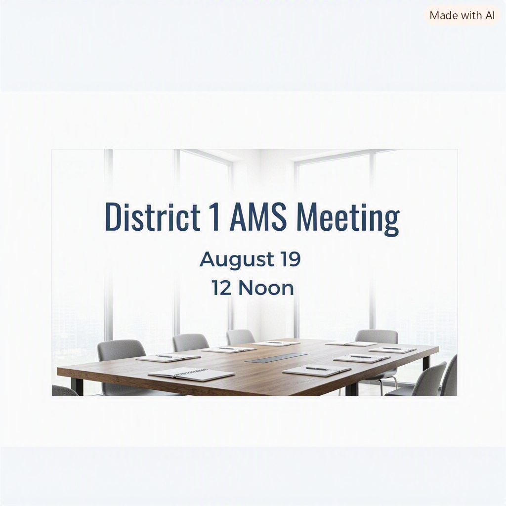 District 1 AMS Meeting