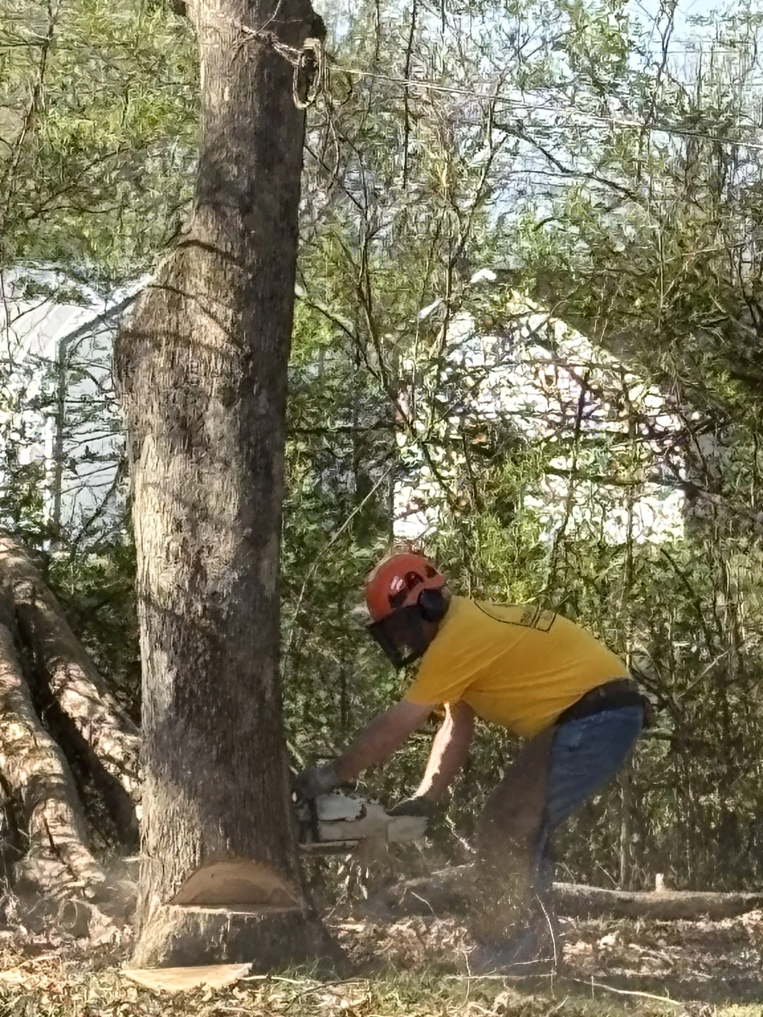 MBA DR 21Mar2026 @Cave Spring 12.jpeg