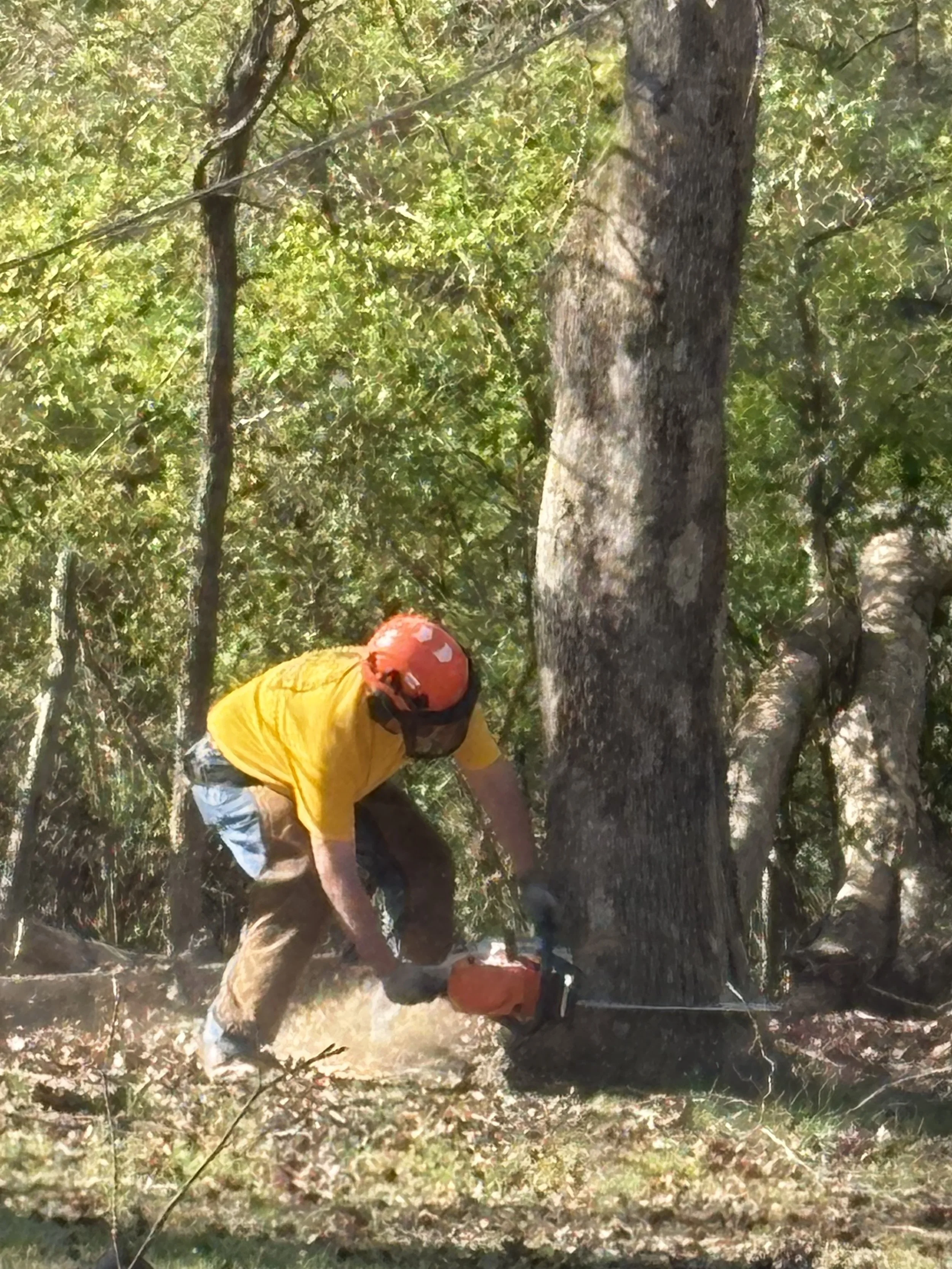 MBA DR 21Mar2026 @Cave Spring 5.jpeg