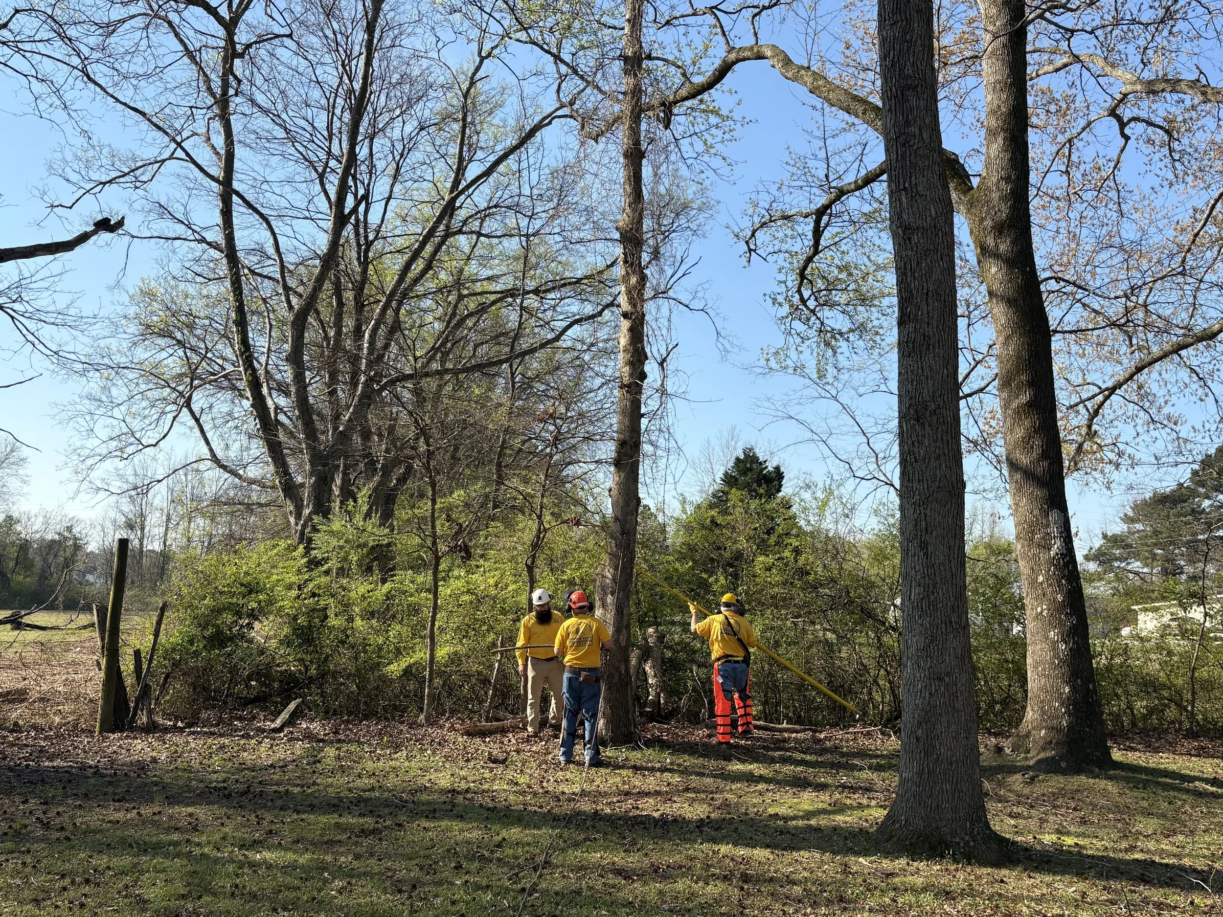 MBA DR 21Mar2026 @Cave Spring 3.jpeg