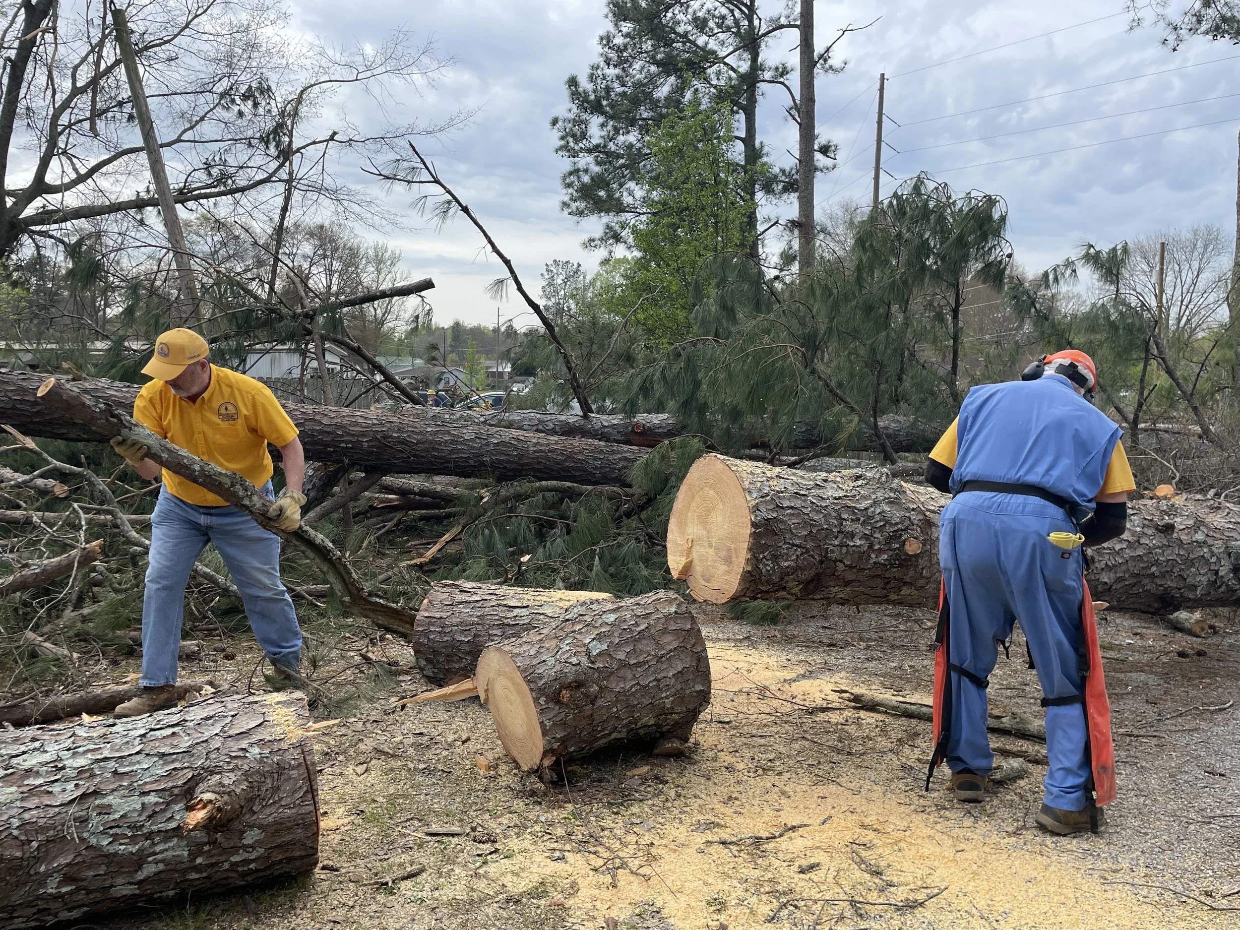 Two workers in protective gear cut fallen tree branches in a yard after a storm, with trimmed logs and sawdust on the ground.