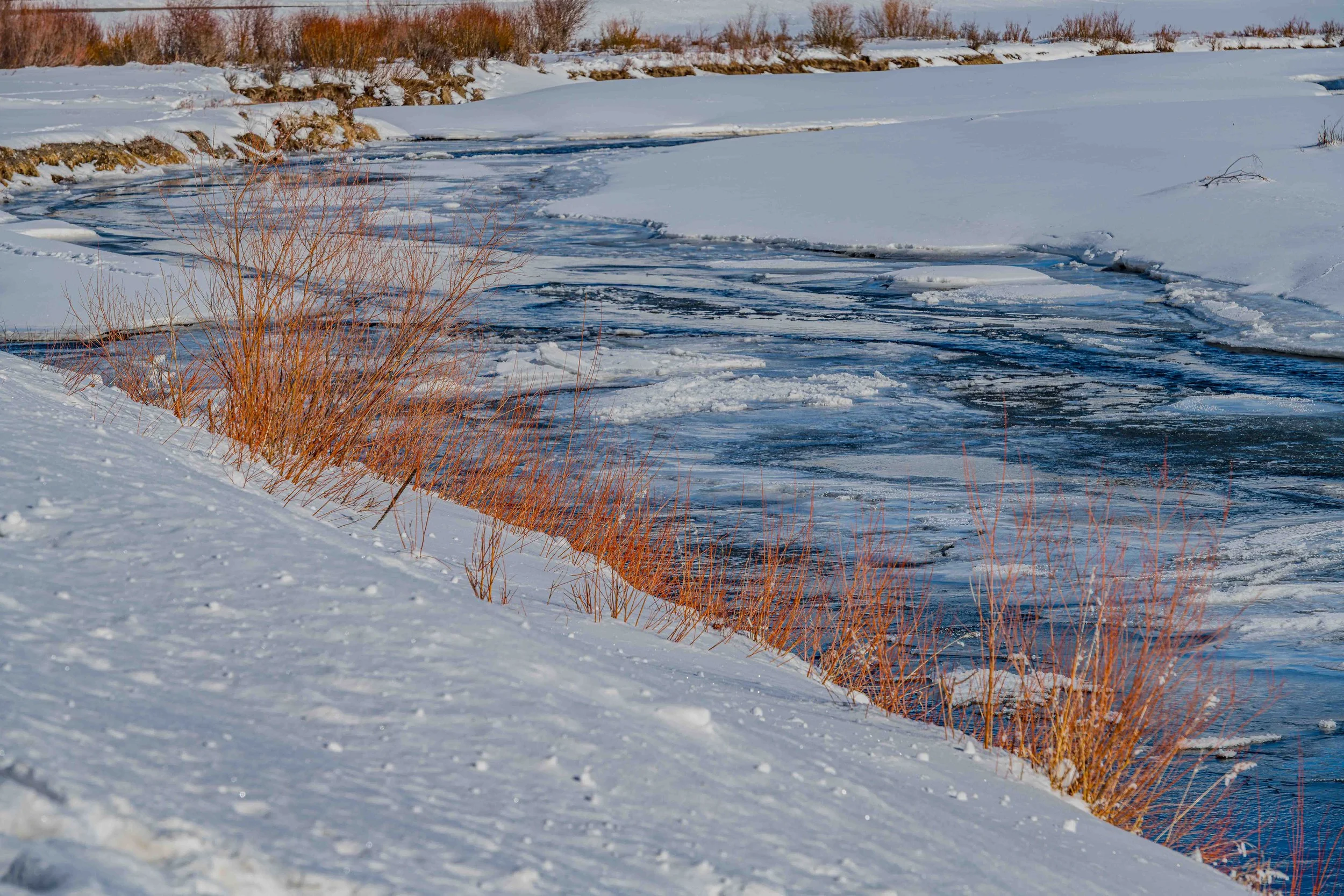 Snow-River and Lake-20230216-_DSC9936-Enhanced-NR.jpg