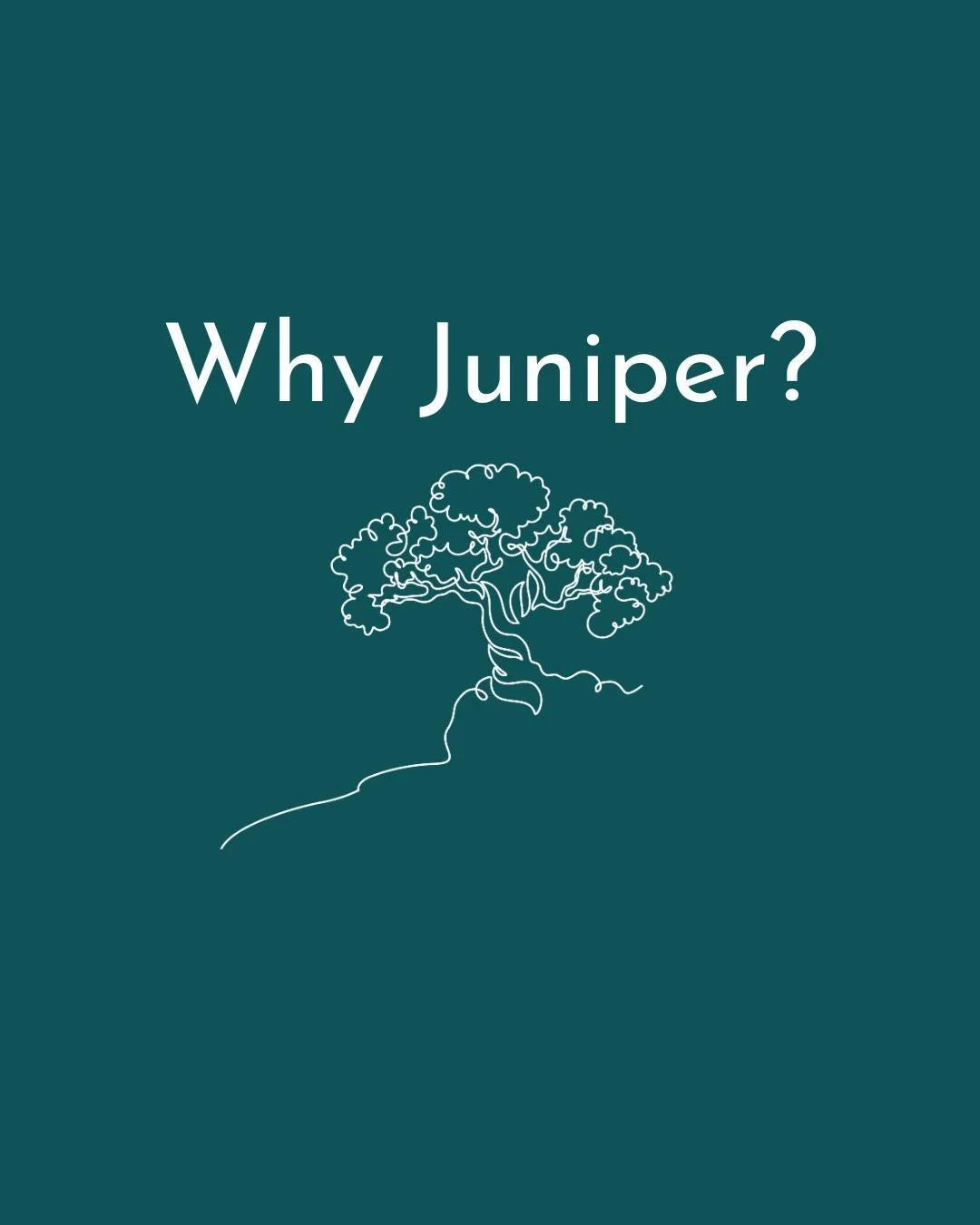 Here&rsquo;s the heart of it 🌿

I chose the name Juniper because the juniper tree is quietly strong and incredibly resilient. It thrives in tough conditions, lets go of what&rsquo;s no longer serving it, and protects the health of the whole. That&rs