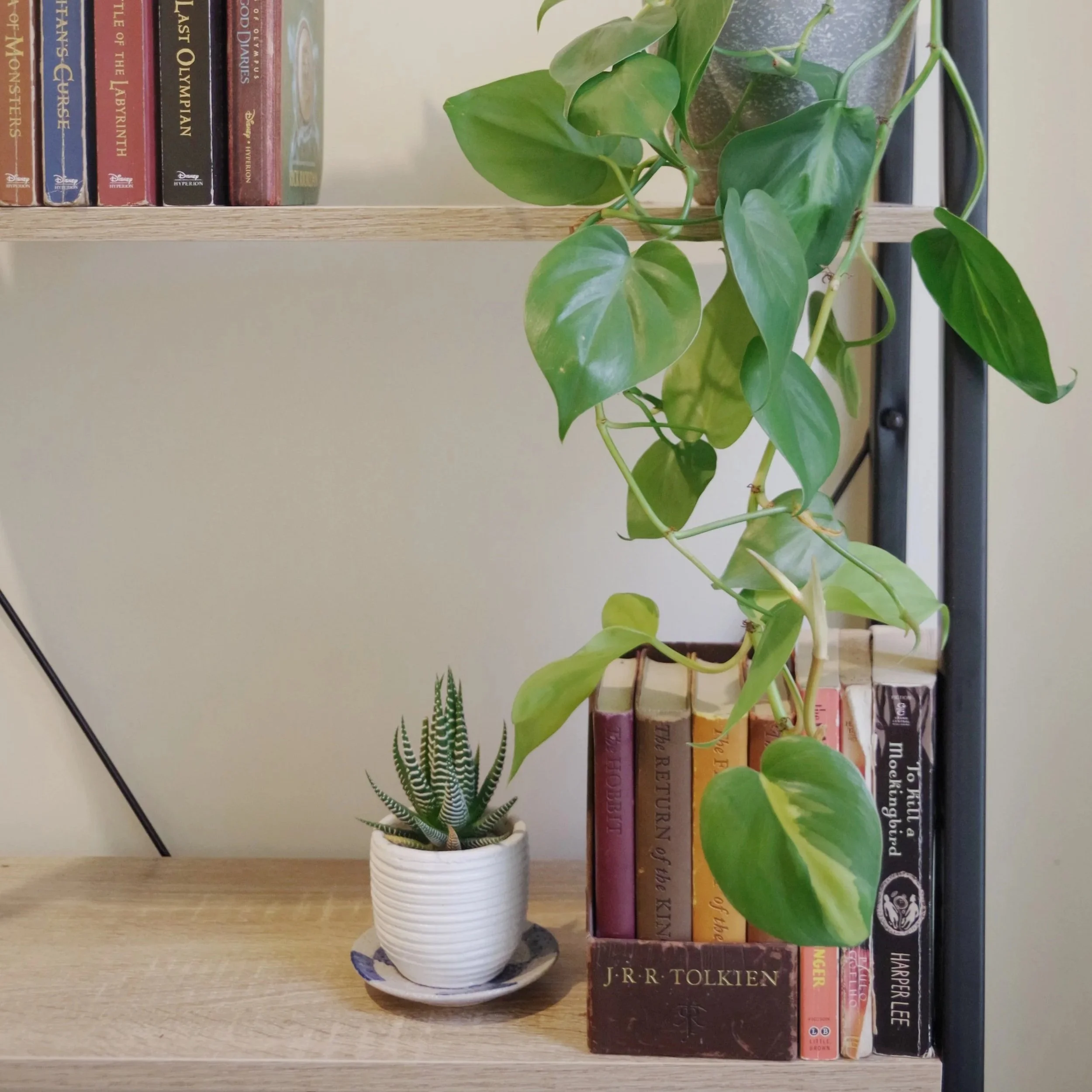 Why Marie Kondo’s “giving up” on tidying is exactly why you SHOULD hire a professional home organizer.