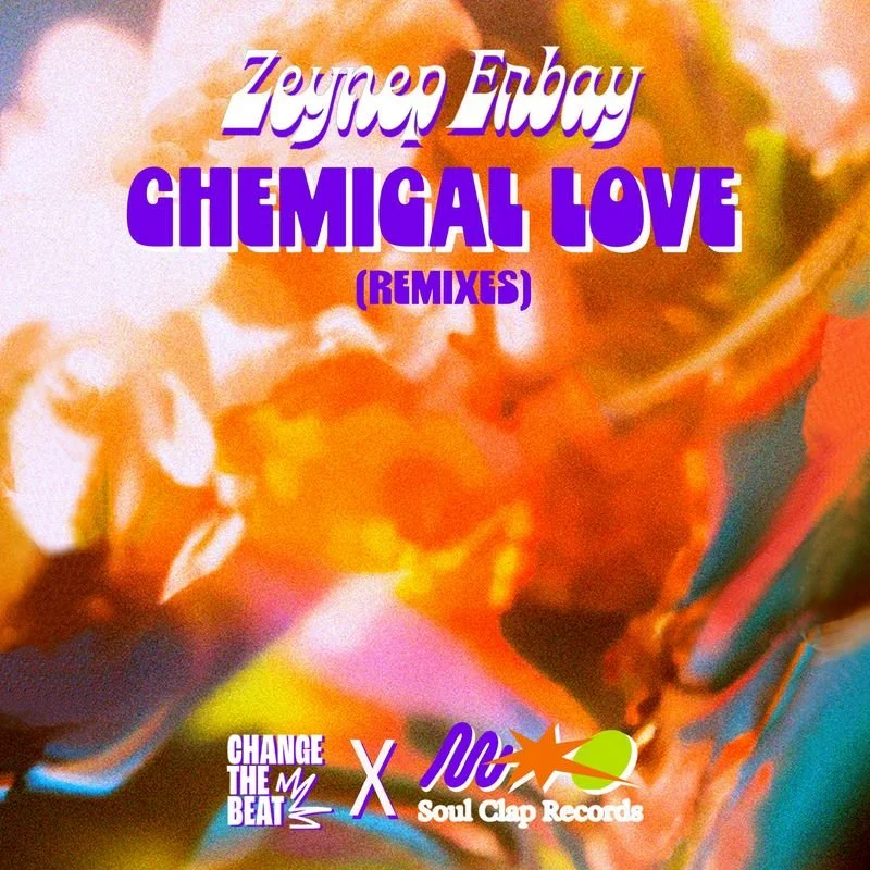 chemical love cover.jpeg