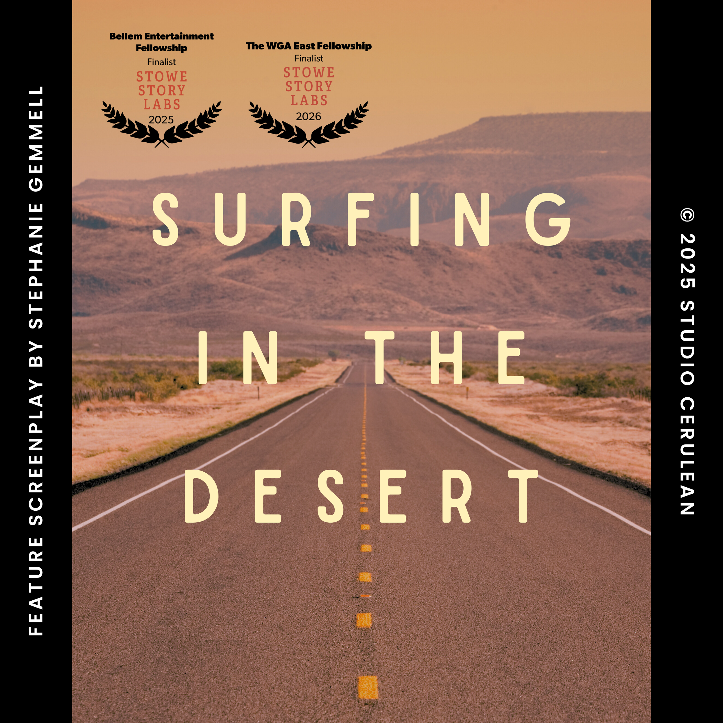 Surfing in the Desert