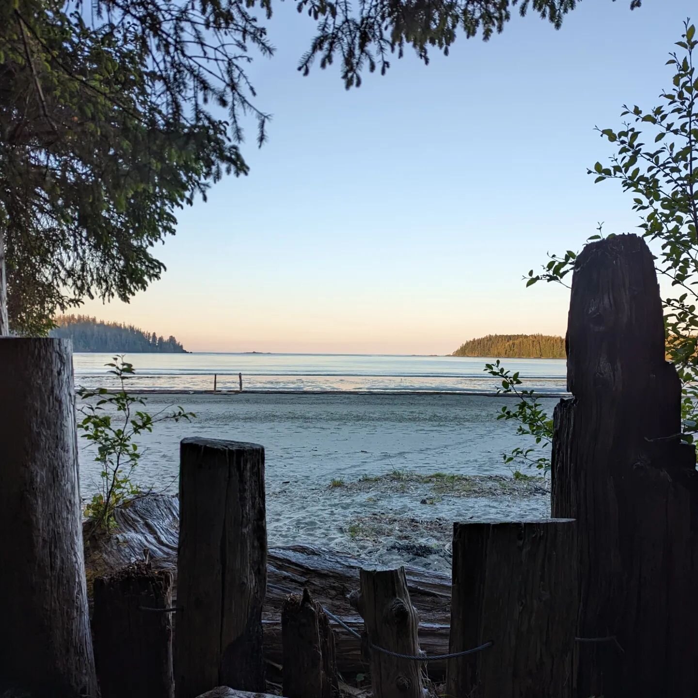 Bestowed upon thou, a majestic gift.

Nature - Wild and Free, the West Coast Trail gave to me.

#eternalgratitude #westcoasttrail #beautifulbritishcolumbia #wilderness #hiking #bucketlist