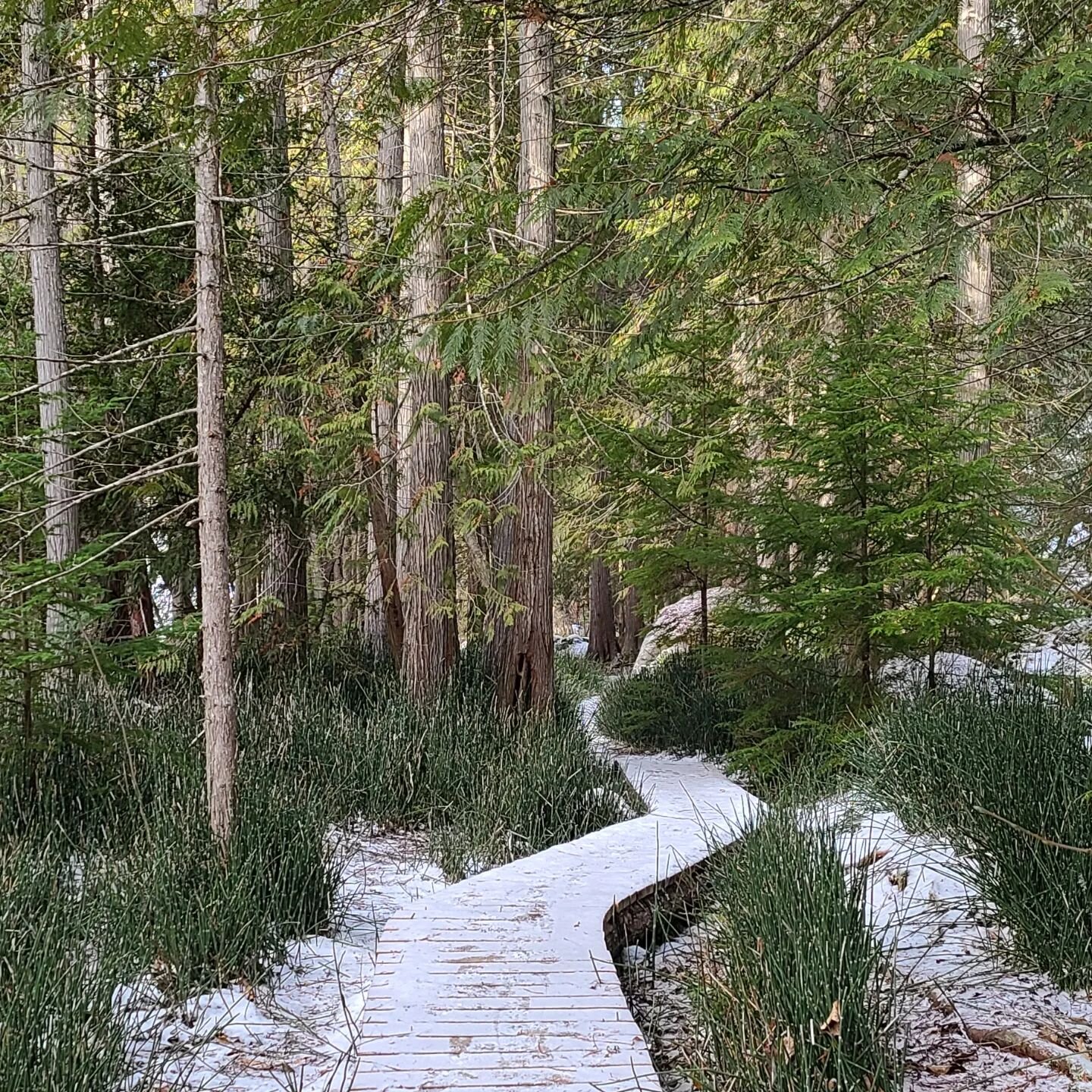 Moving Slowly

Winter is a time of rest for nature, bears are hibernating, crops aren't growing, lakes and rivers freeze over - stillness sets in.

As with yourself you should find solace and synchronization with nature. Take the time to do the self 