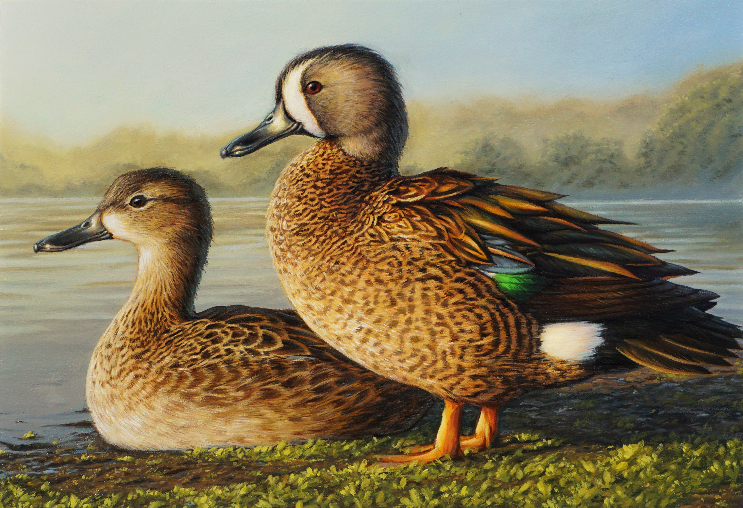 duckpainting2wowhite.png