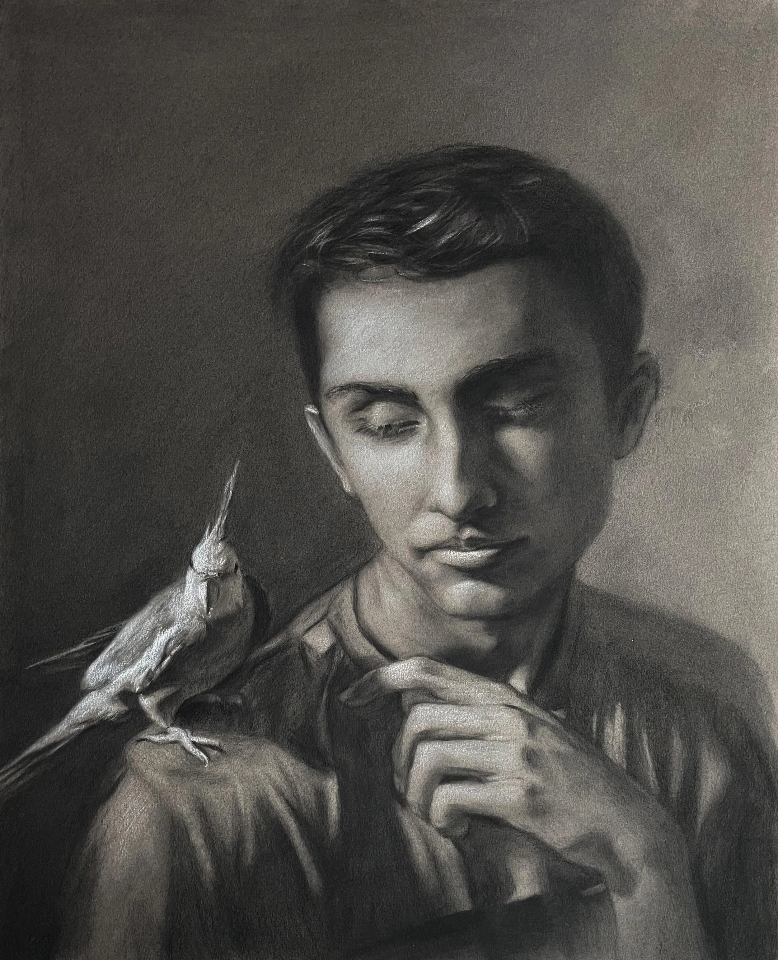 Pet Bird, Charcoal painting 2023
