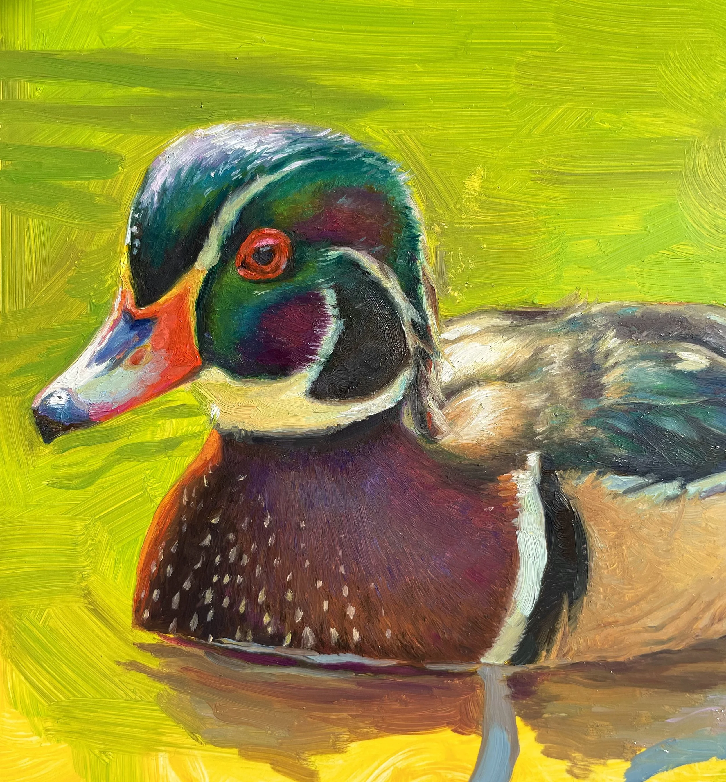 Wood Duck Sketch, 2025
