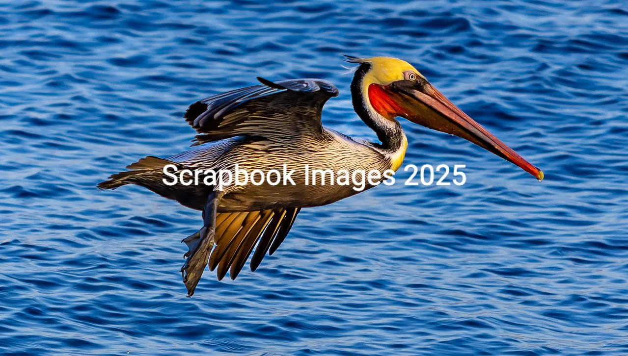 0 1 1N9A0500-2-X2.jpg