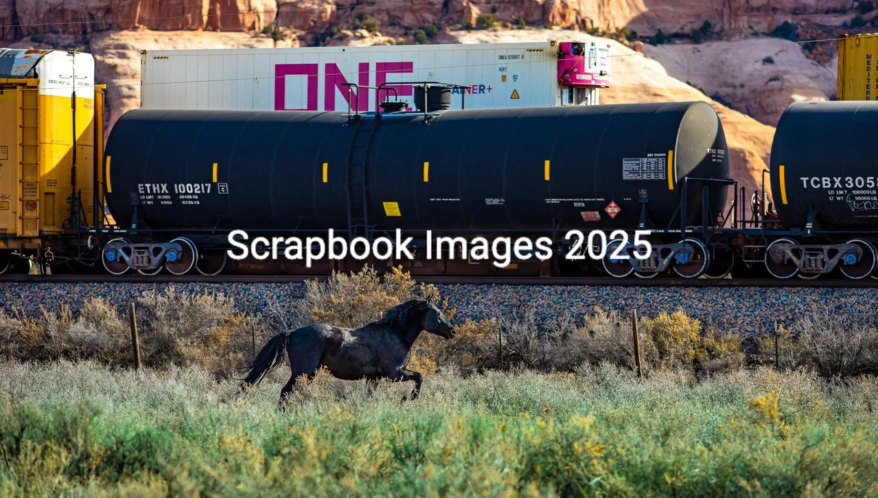 0 0 1 1N9A2555-X2.jpg