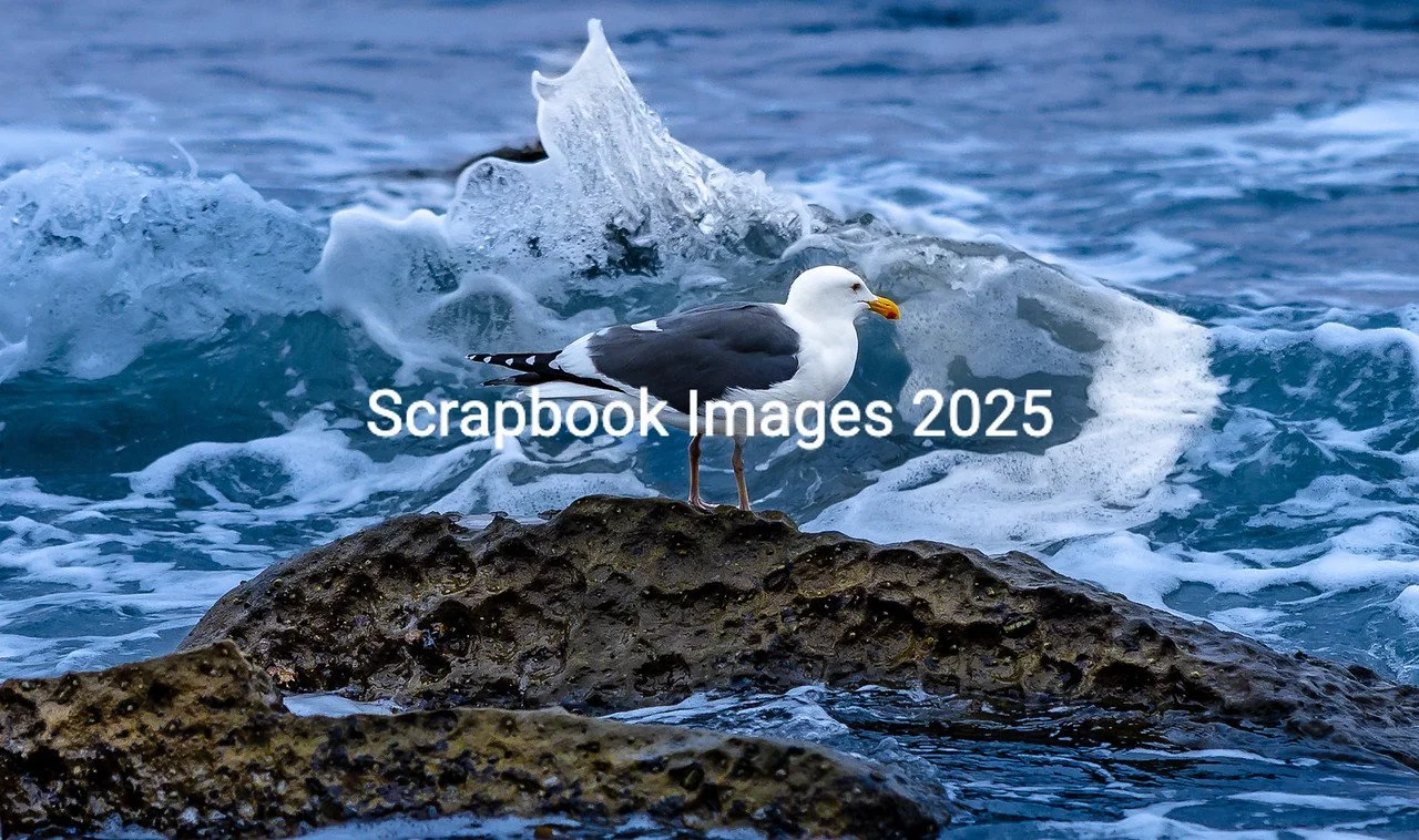 0 0 1 1N9A0728-X2 (1).jpg