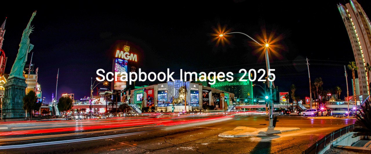 _3 BEST VB LE LOW1-X2.jpg