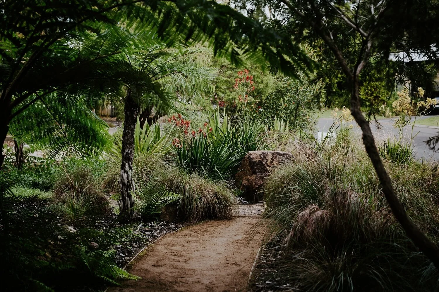 A narrow dirt pathway winds through lush green bushes and trees in a garden or park, with a large rock and ornamental grasses along the sides.
