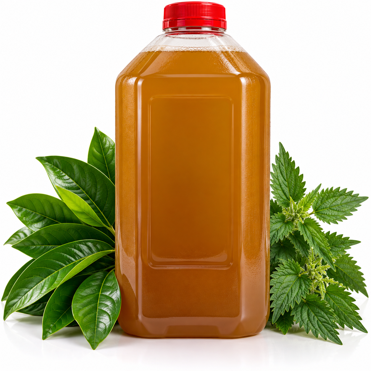 Soursop Leaf and Nettle Leaf Tea