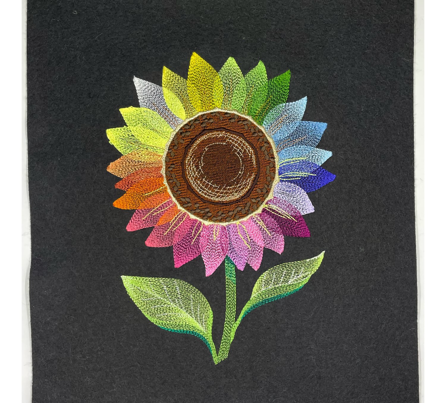Rainbow sunflower in the raw.jpg
