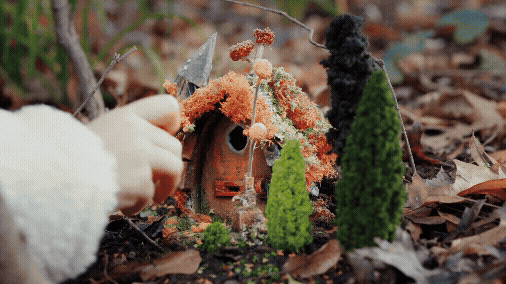 Fairy Tale | Short Film
DP: Kate Montgomery
1st AC: Maeve Anna Houston