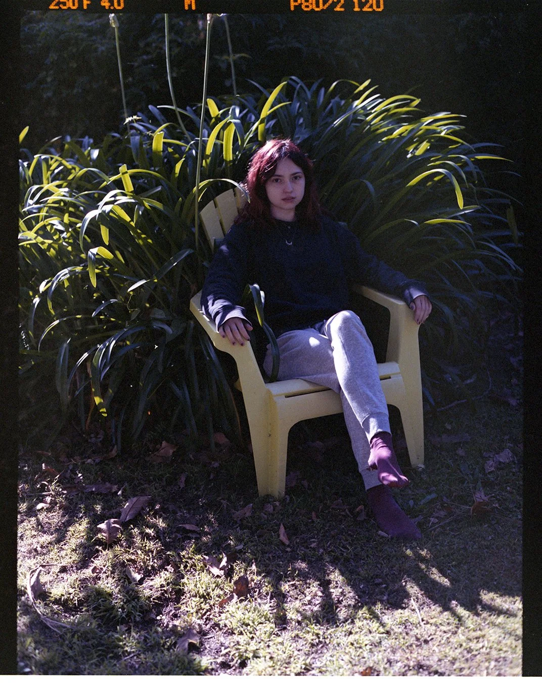 Scan 17.jpg