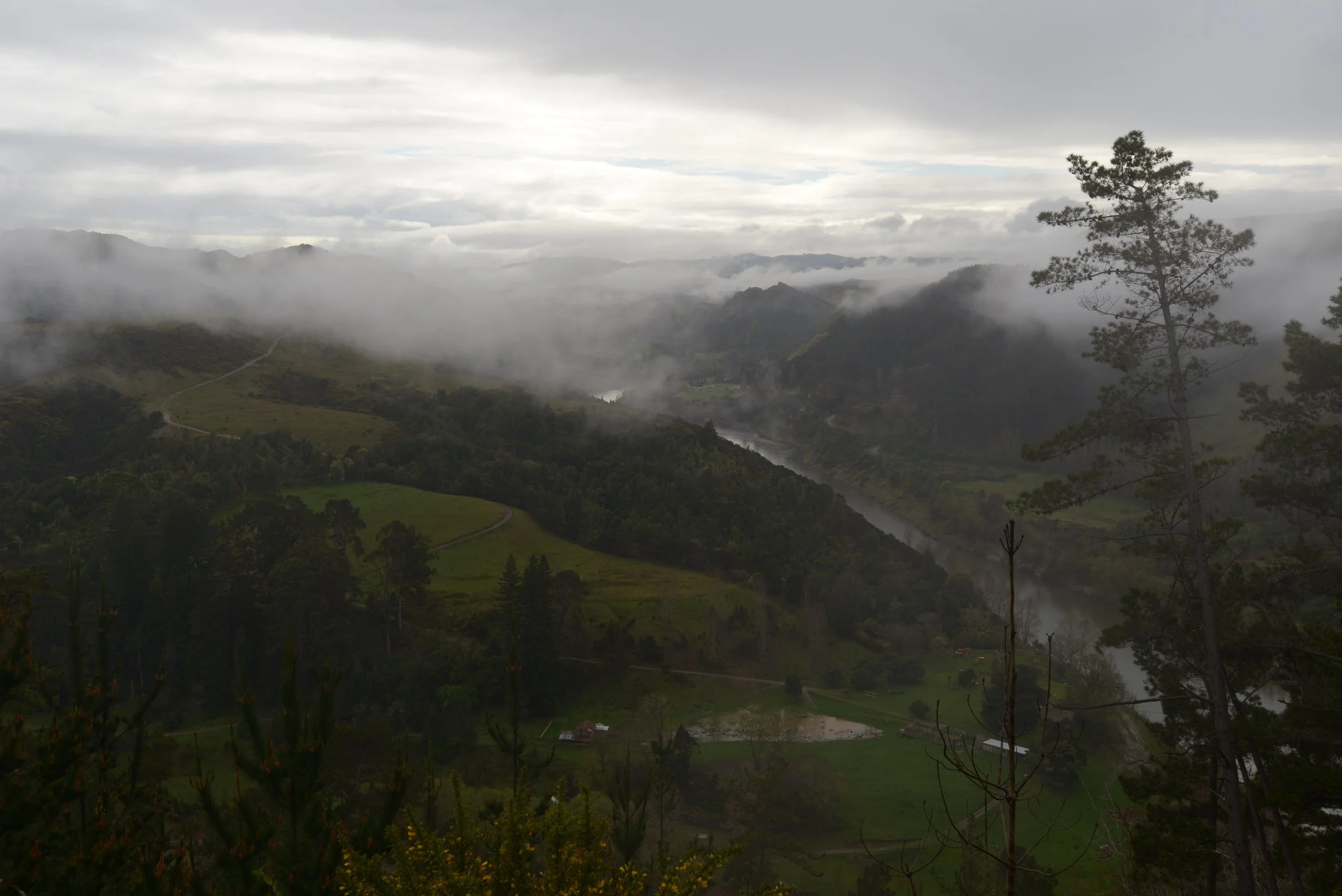 DSC_0880.JPG