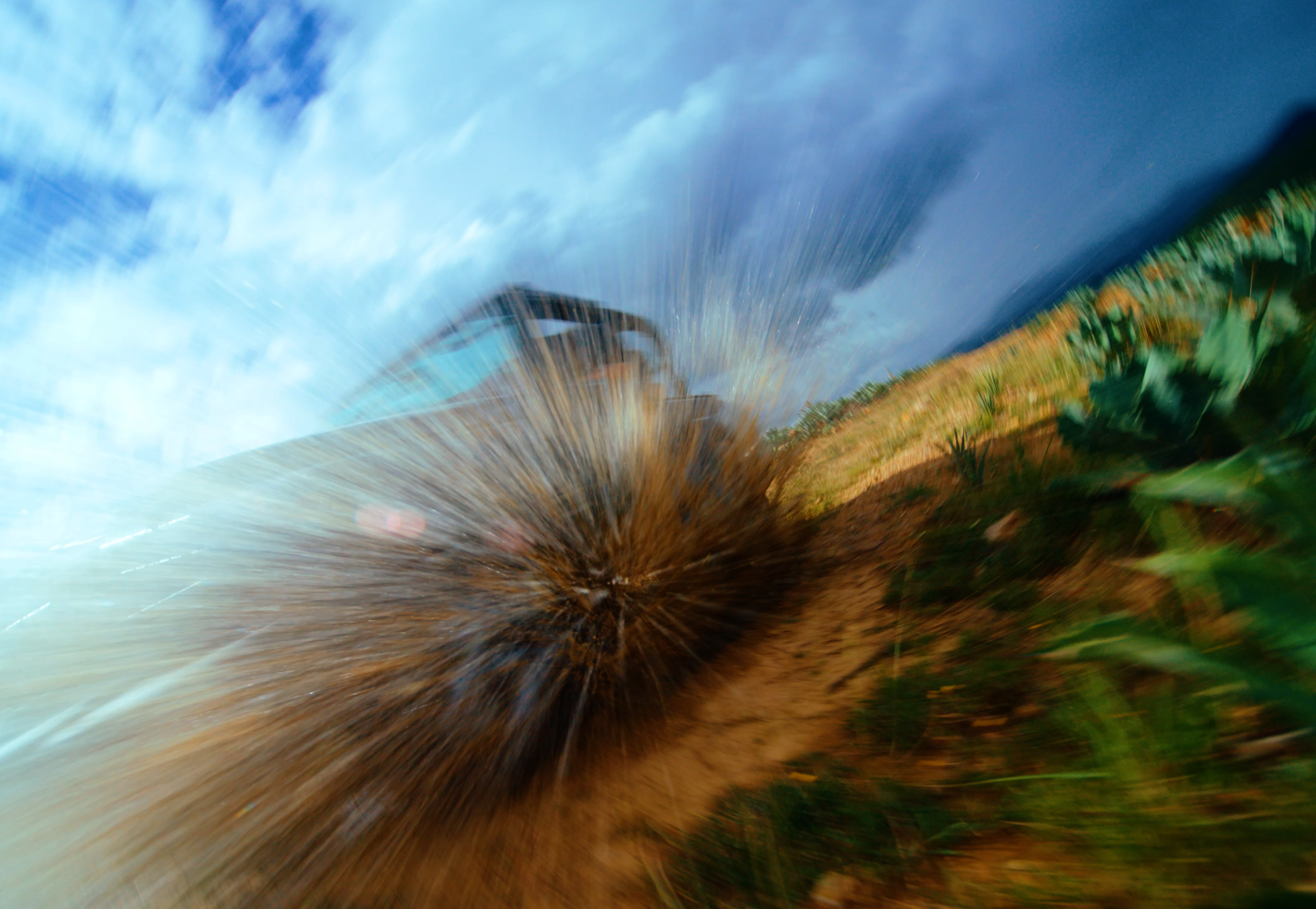 HF_WANDER THE COLORS OF OAXACA_DIRECTORS CUT_V2.00_02_39_15.Still012.PNG