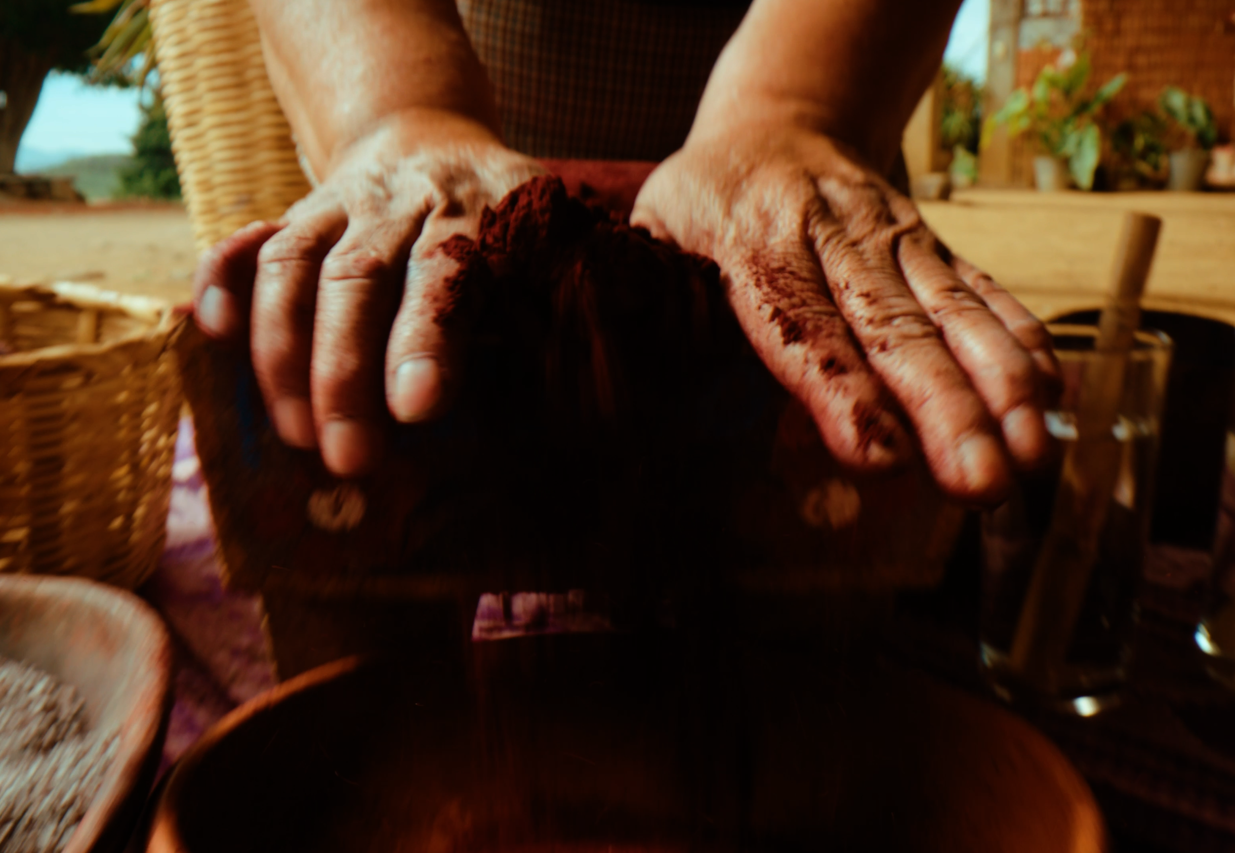 HF_WANDER THE COLORS OF OAXACA_DIRECTORS CUT_V2.00_01_51_14.Still006.PNG