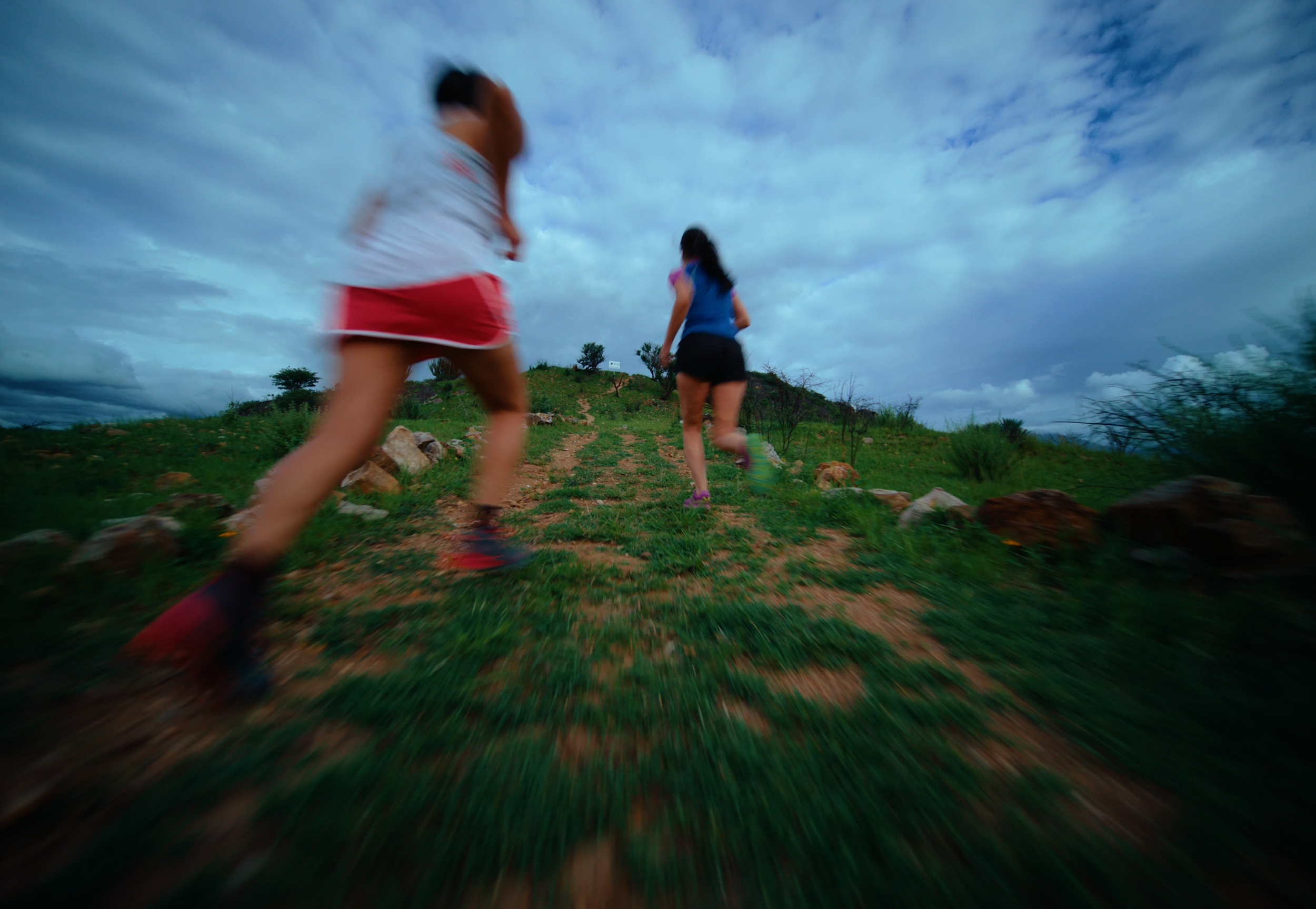 HF_WANDER THE COLORS OF OAXACA_DIRECTORS CUT_V2.00_01_49_15.Still005.PNG