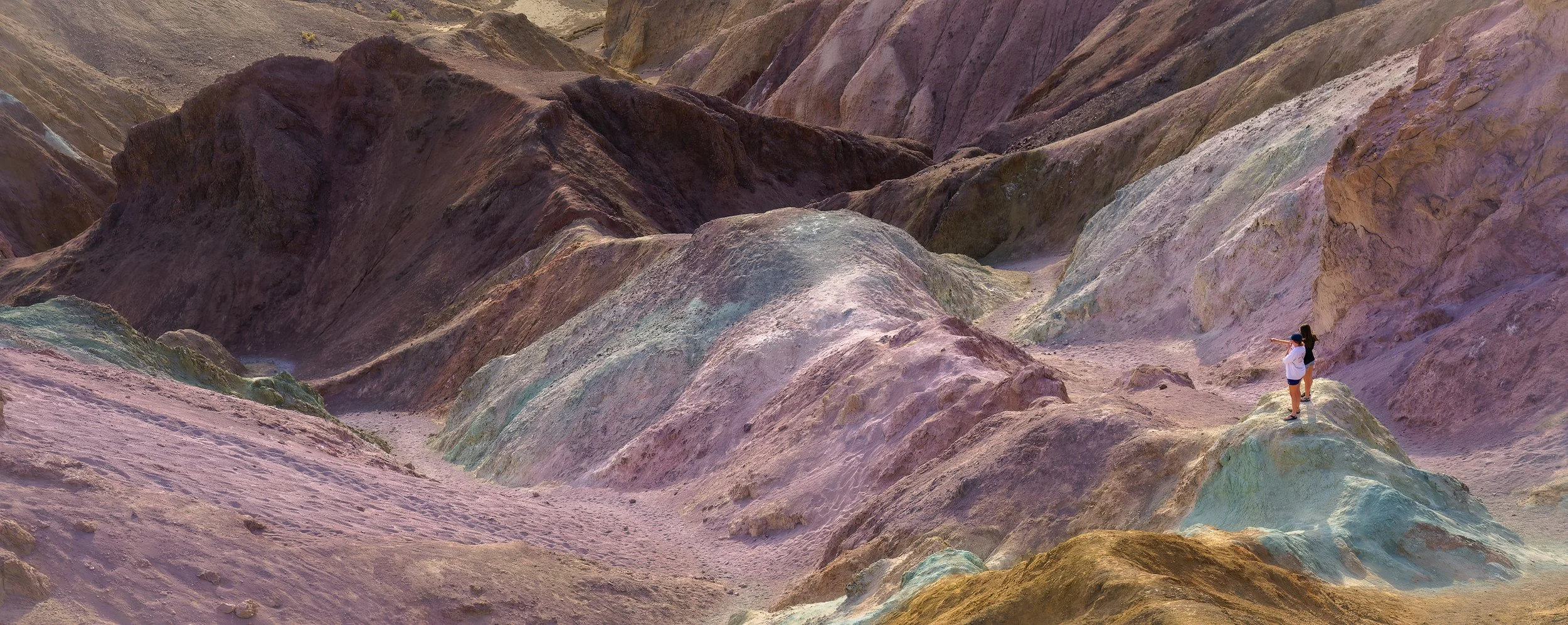 ArtistPalette_Squarespace.jpg
