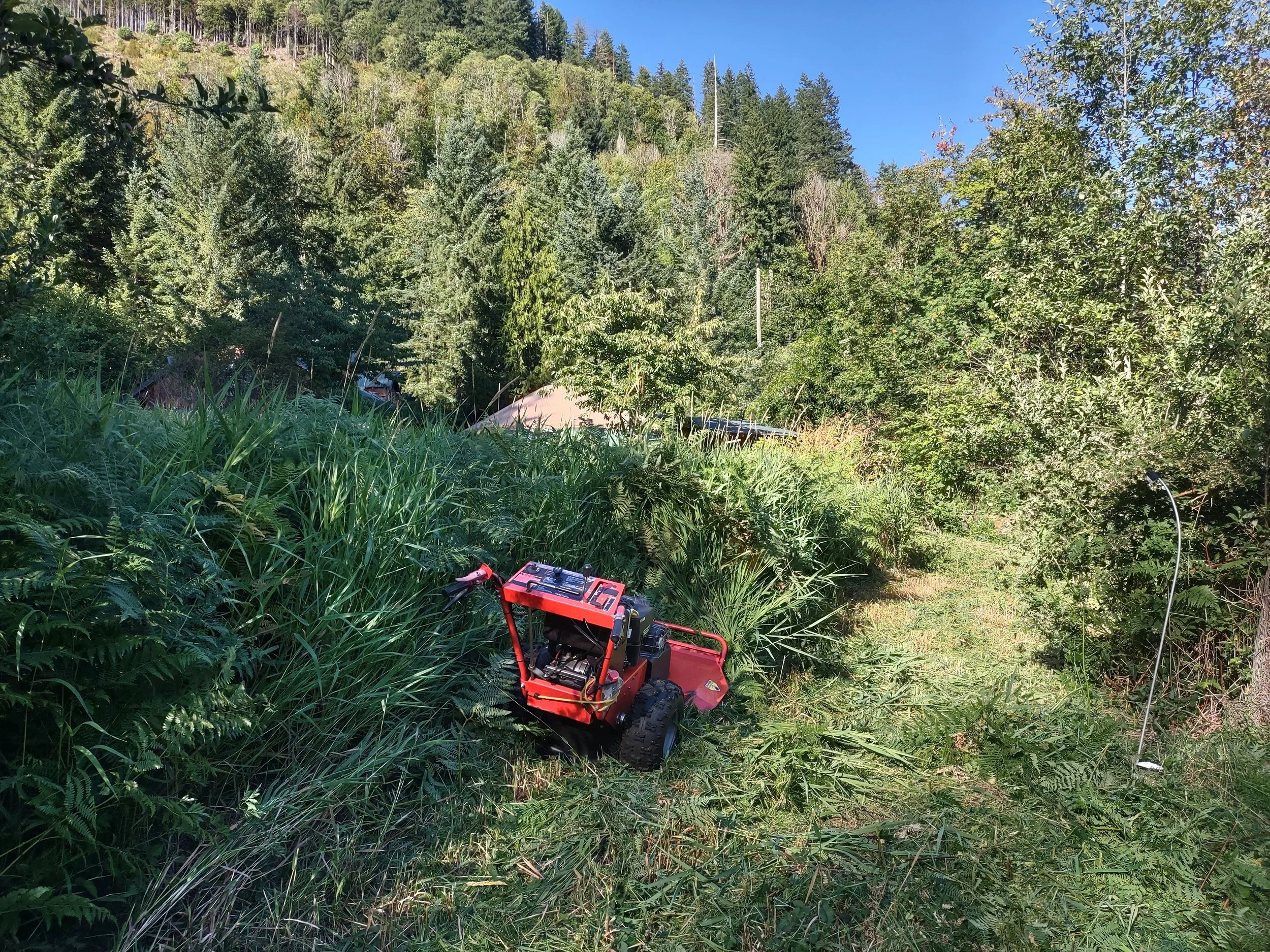 IMG_20230723_181323433_HDR.jpg