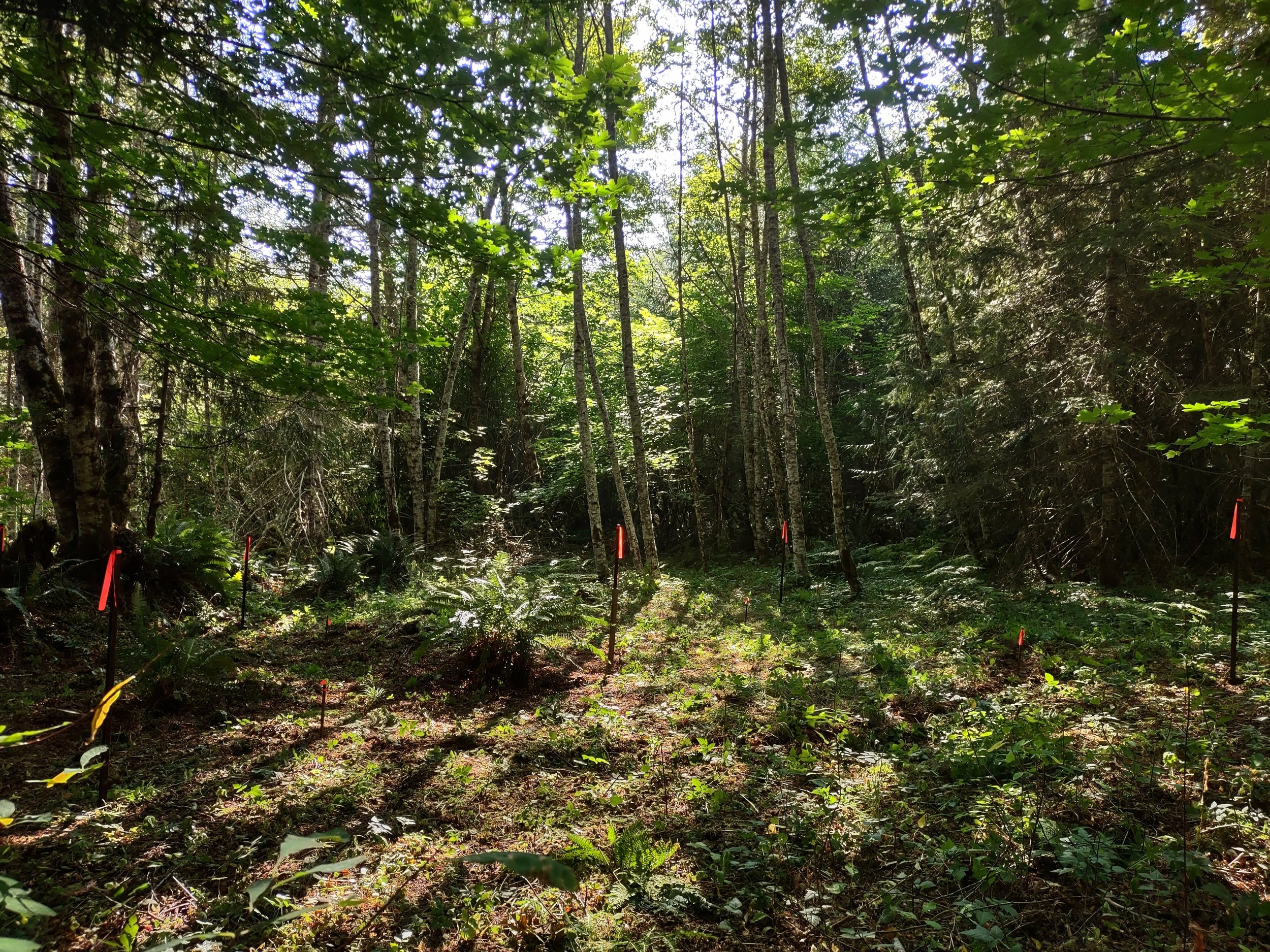 IMG_20230824_161149638_HDR-EDIT.jpg