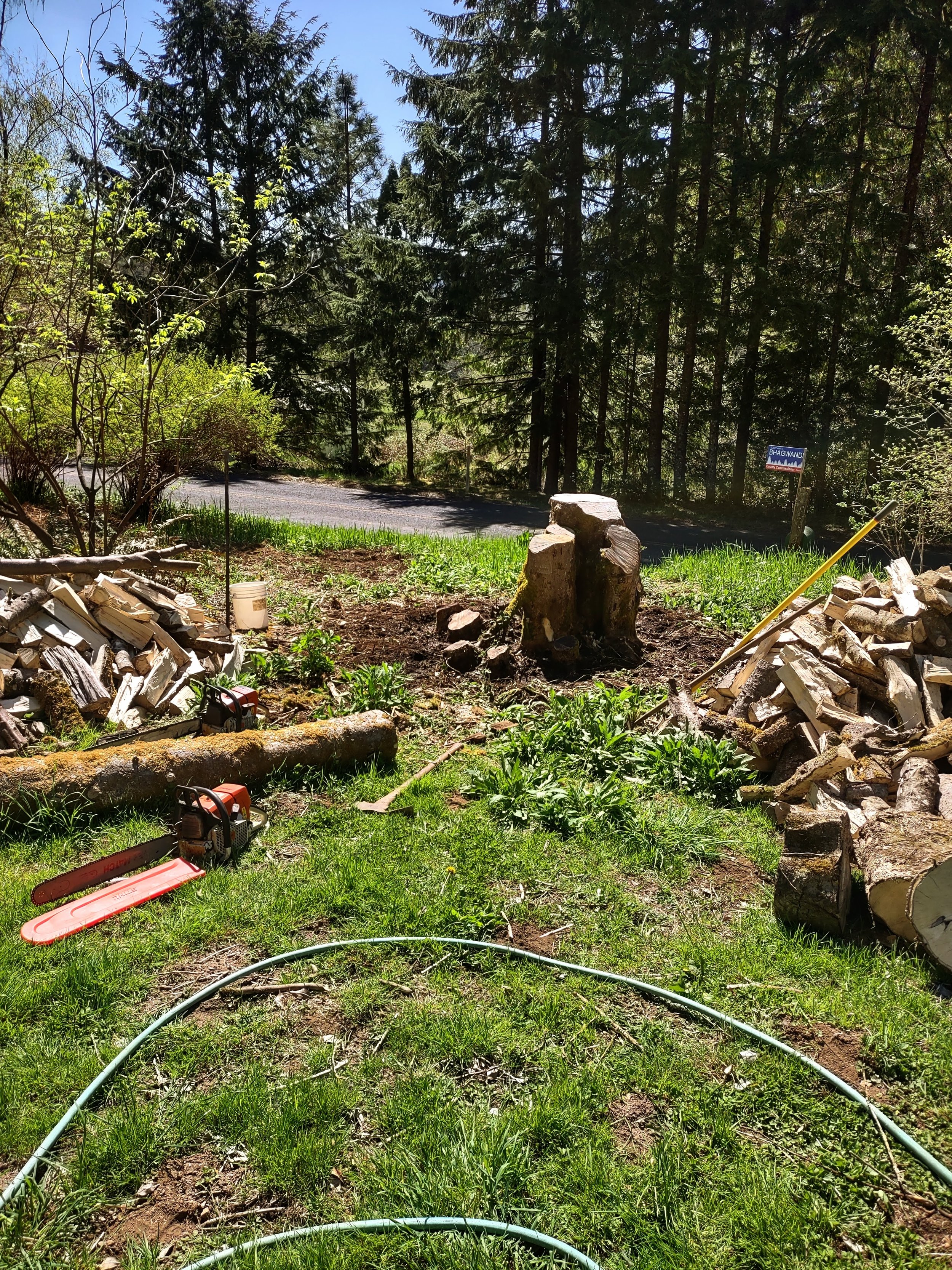 IMG_20230429_112158580_HDR-EDIT.jpg