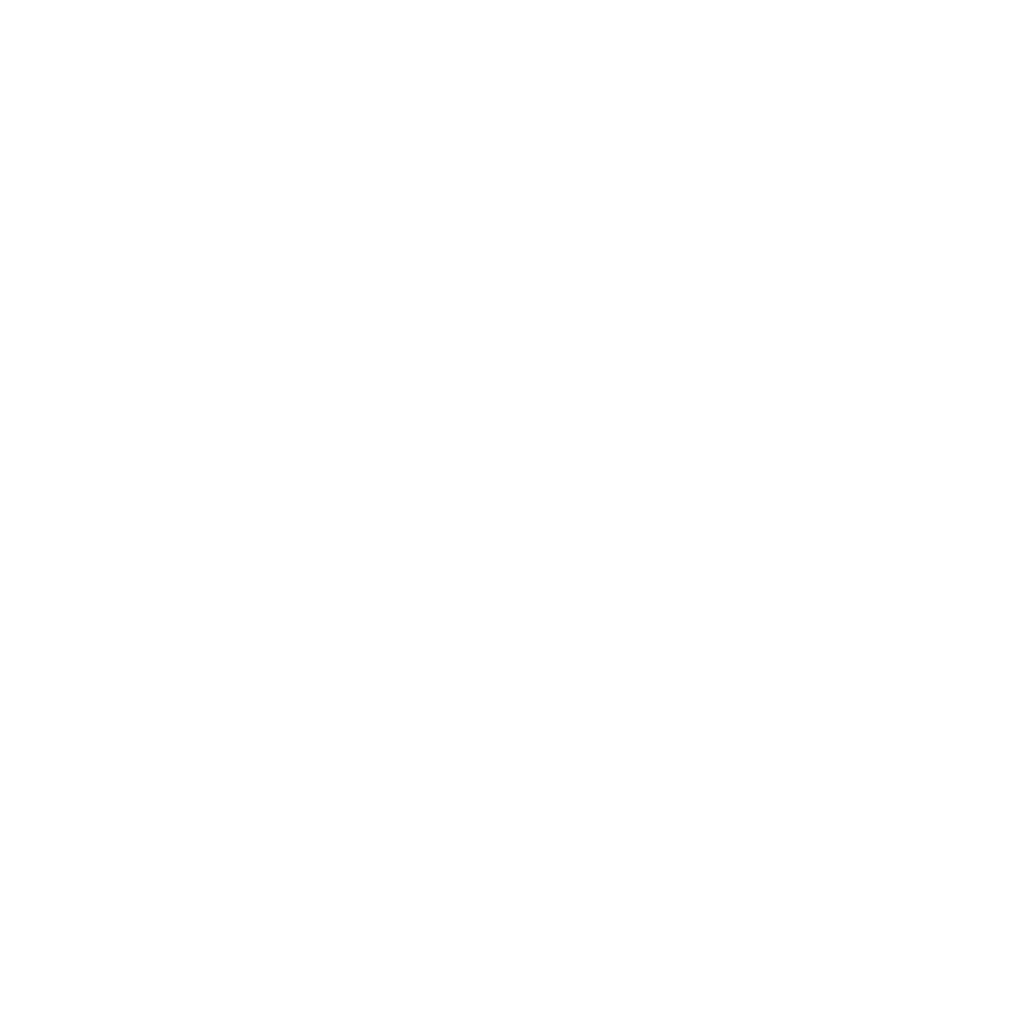 Specialist Rescue Group