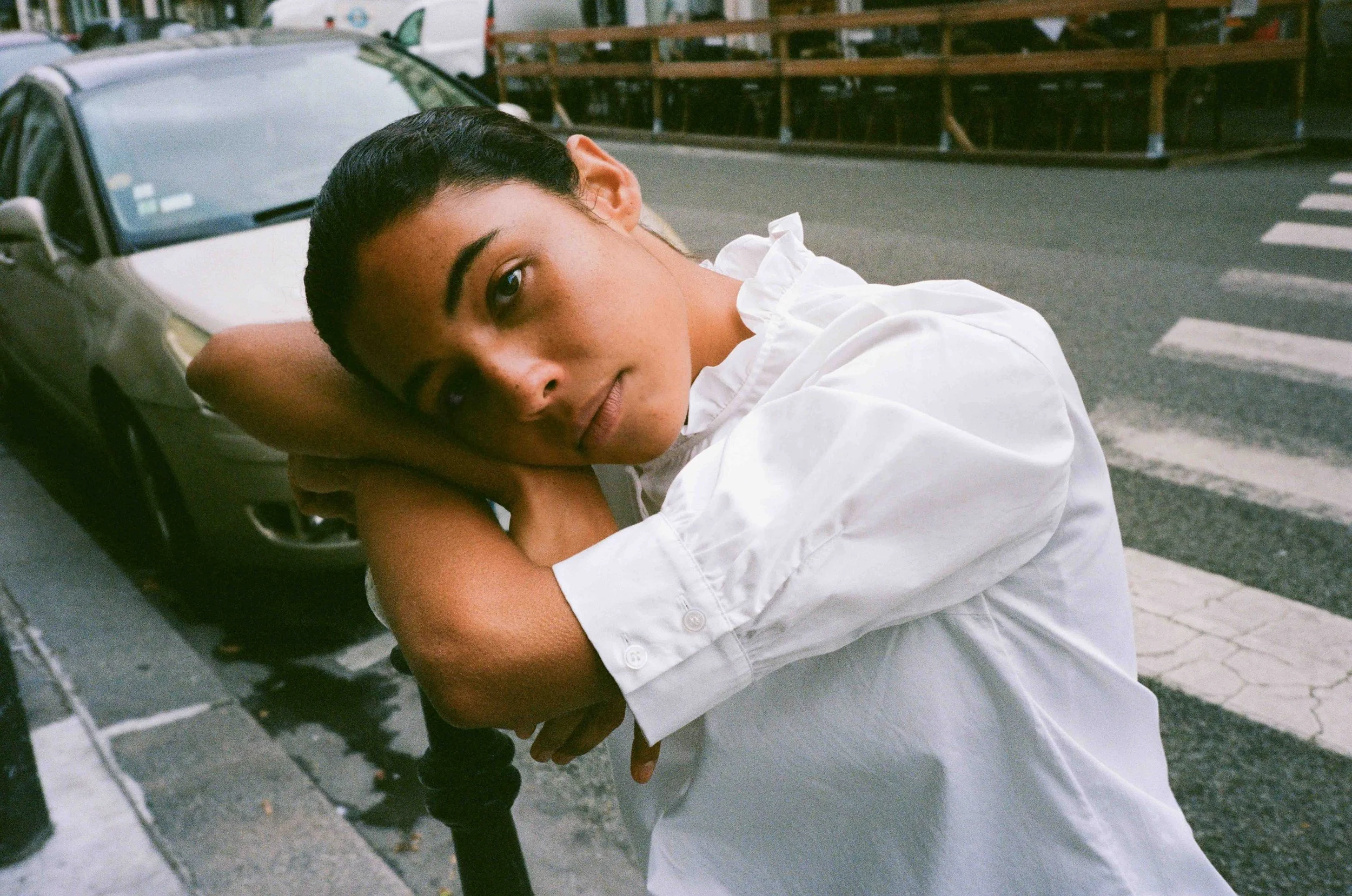 Baum und Pferdgarten Basically Baum Image Book Image 15.jpg