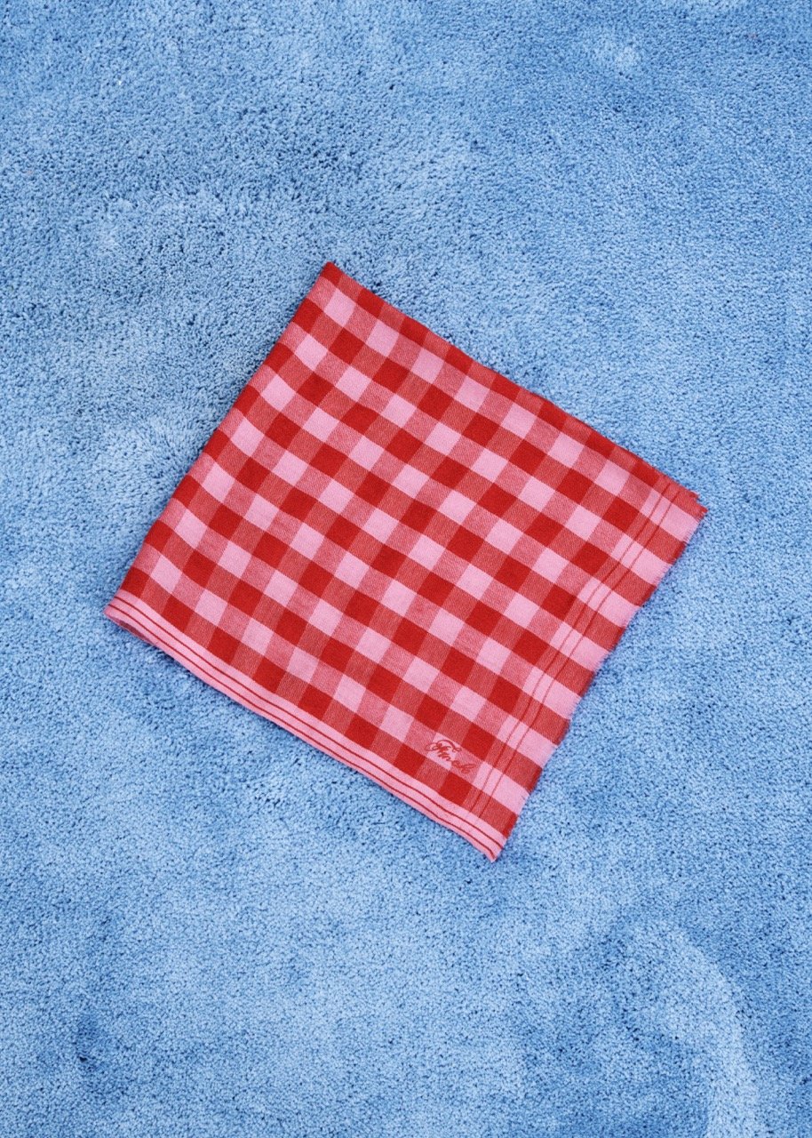 Groß (INA26832 foulard KOKO-ROSE-1).jpeg