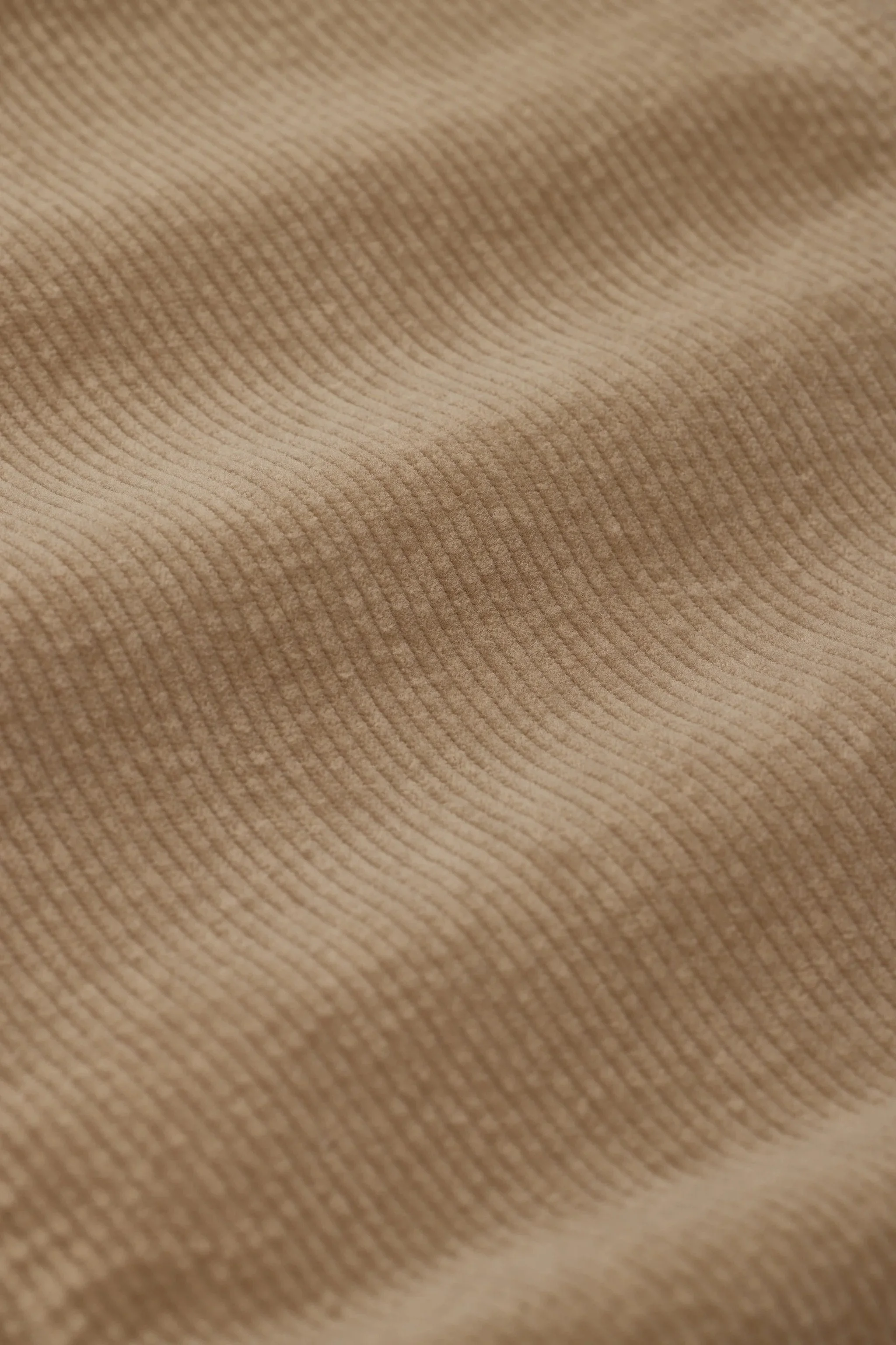 C21243-38Y-30-273.jpg-5.jpeg