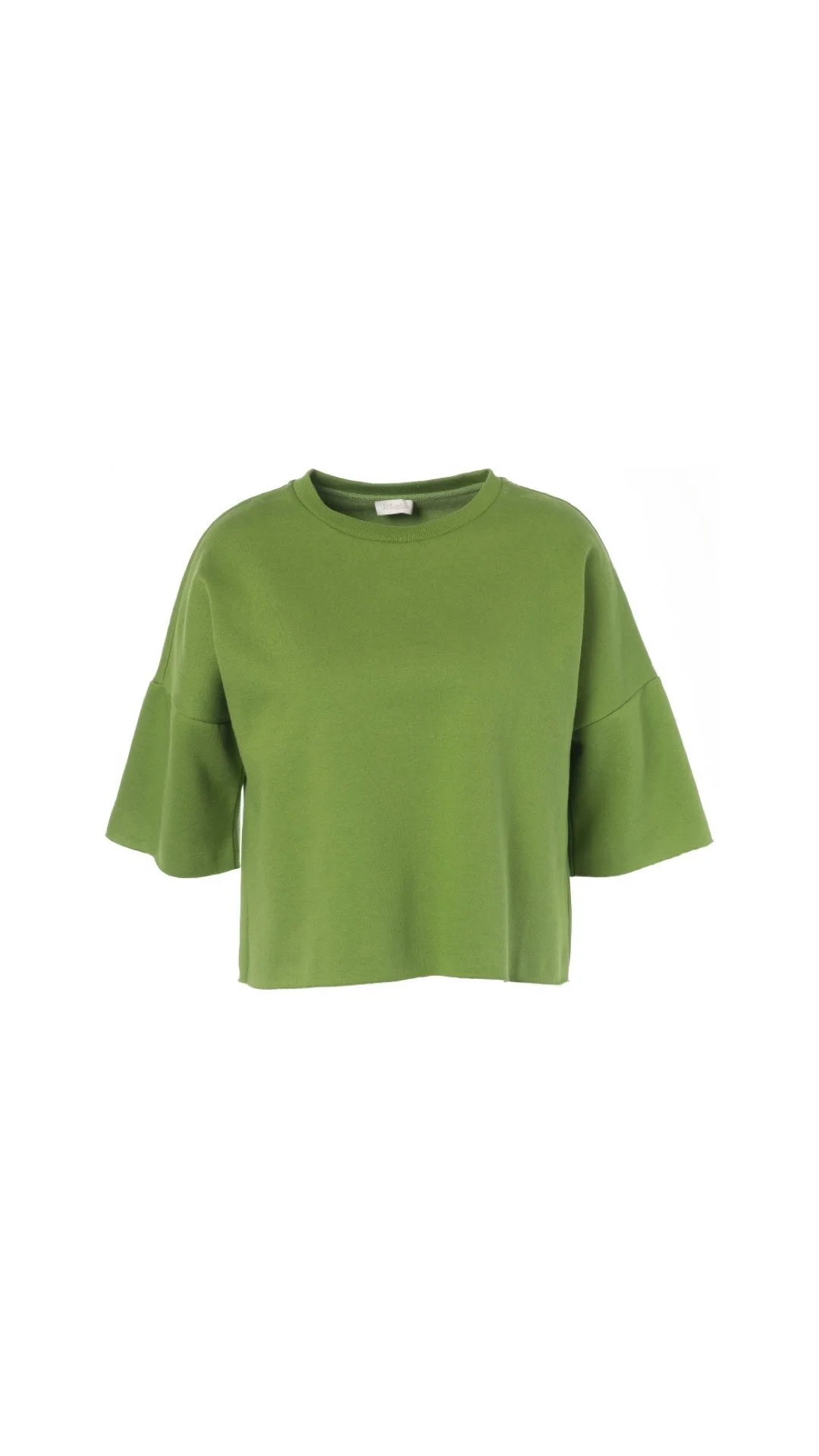 JC Sophie Sweatshirt Leah in Green