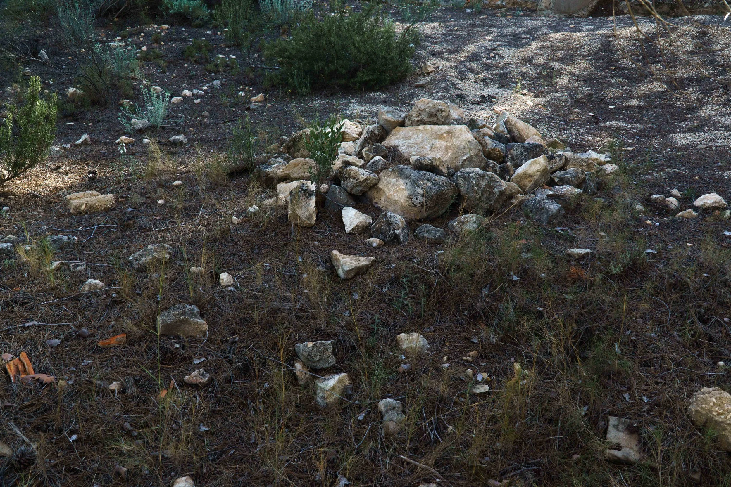 Primera Línea-30.jpg