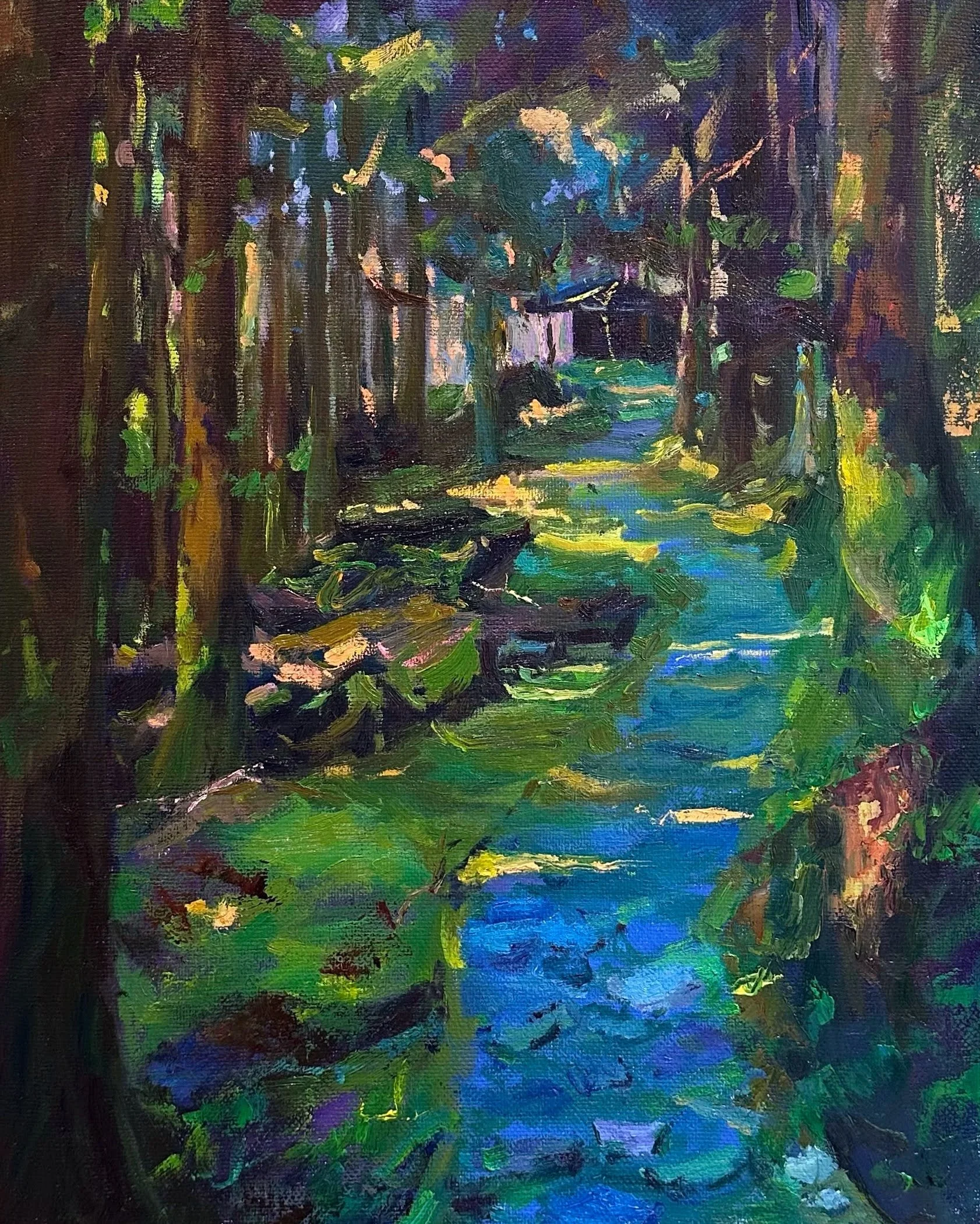 Forest in the morning light.jpg