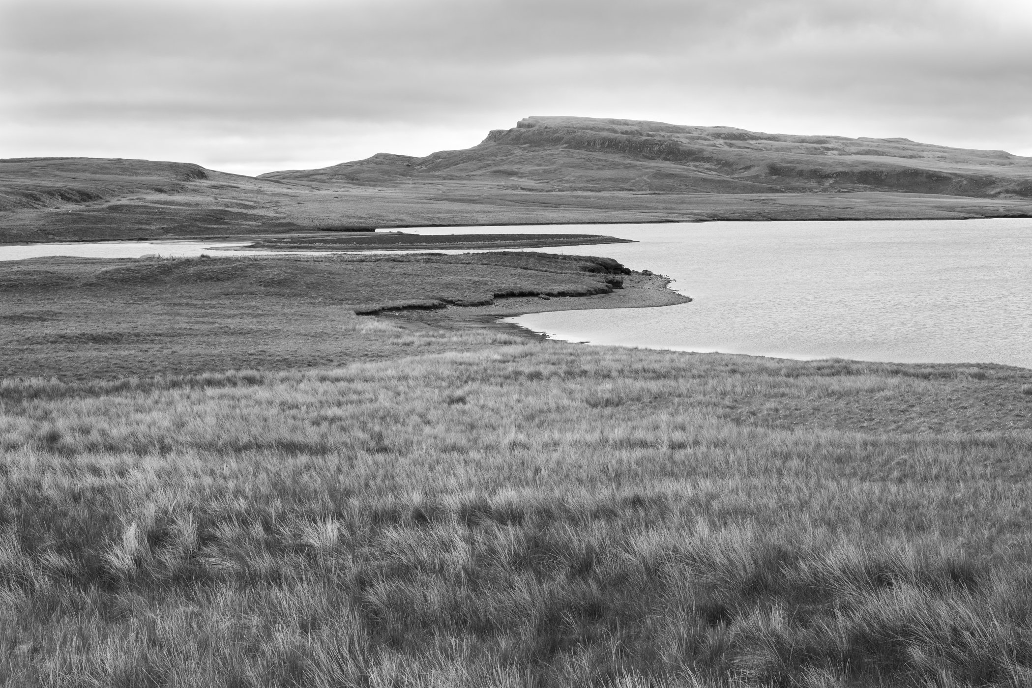 DSC_8025.jpg