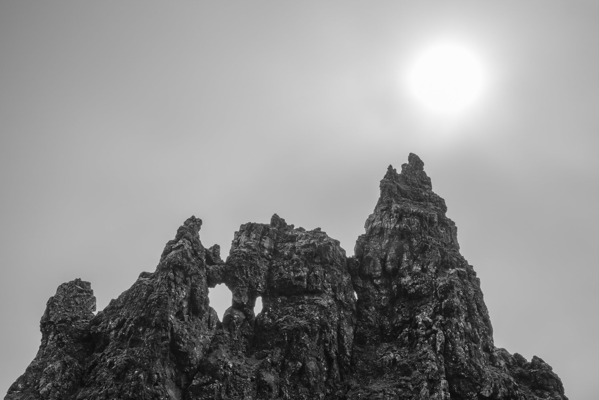 DSC_8072.jpg