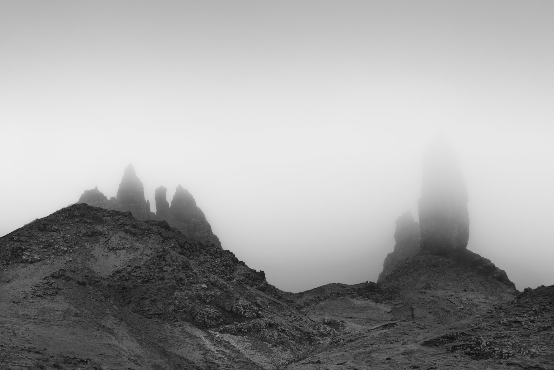 DSC_8026.jpg